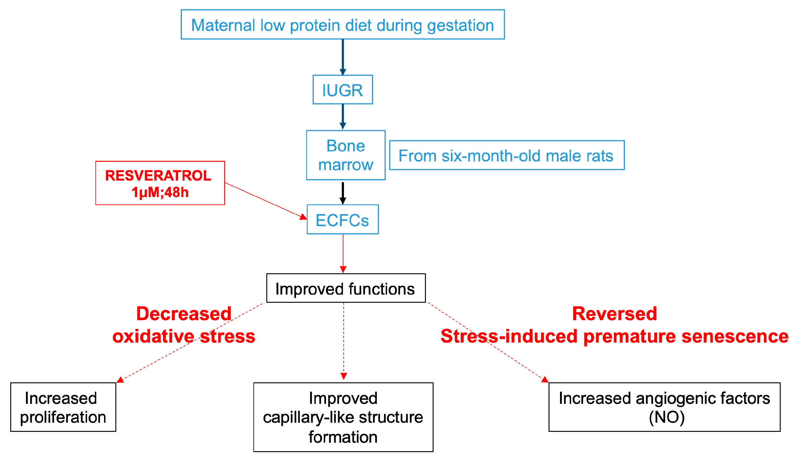 Ijms 24 09747 g010 Ijms 24 09747 g010