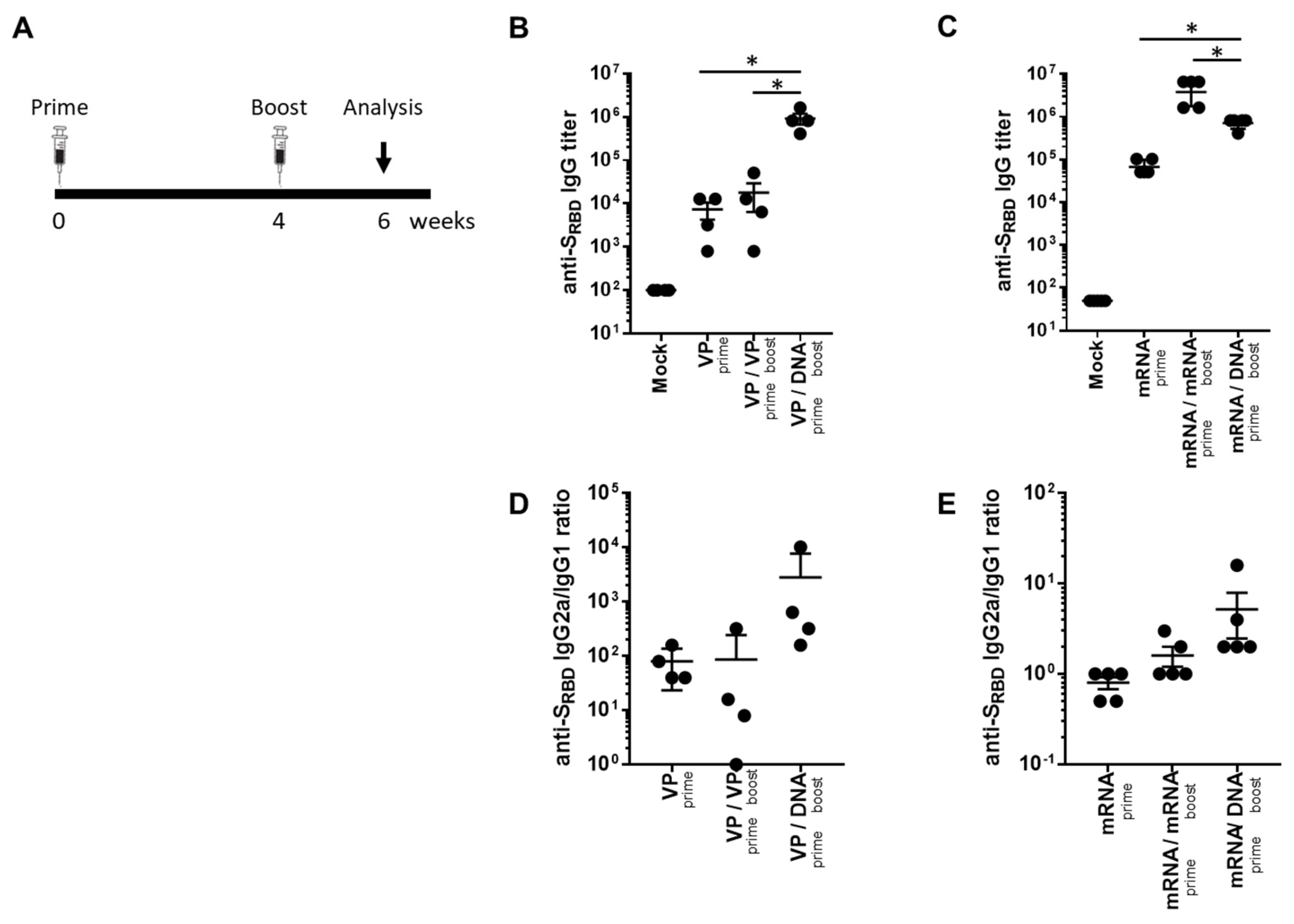Ijms 24 09753 g001 Ijms 24 09753 g001