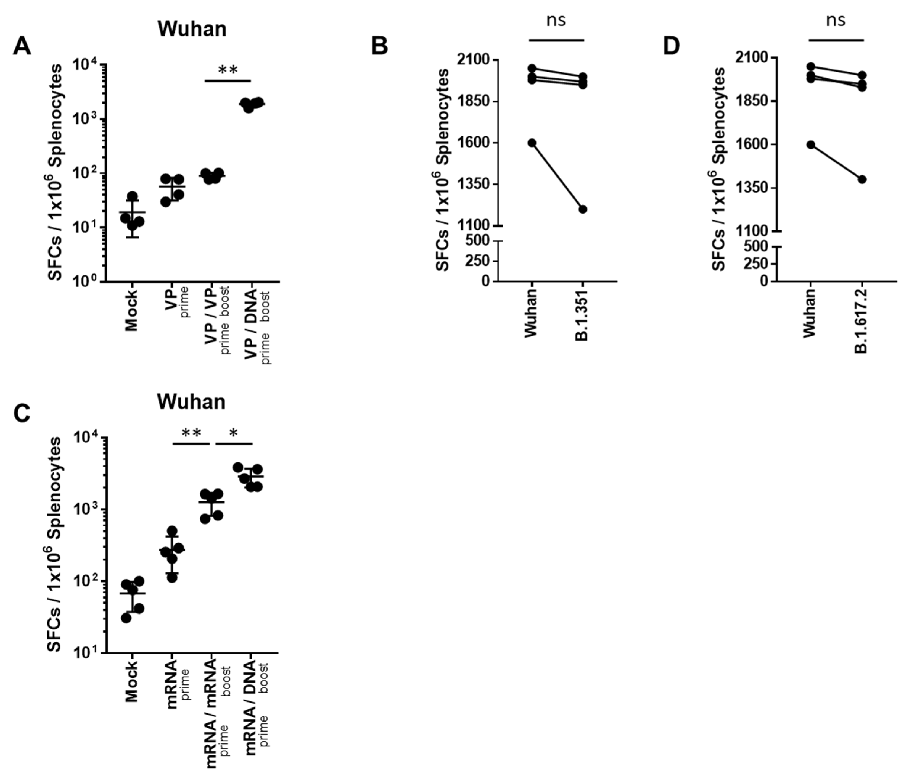Ijms 24 09753 g003 Ijms 24 09753 g003