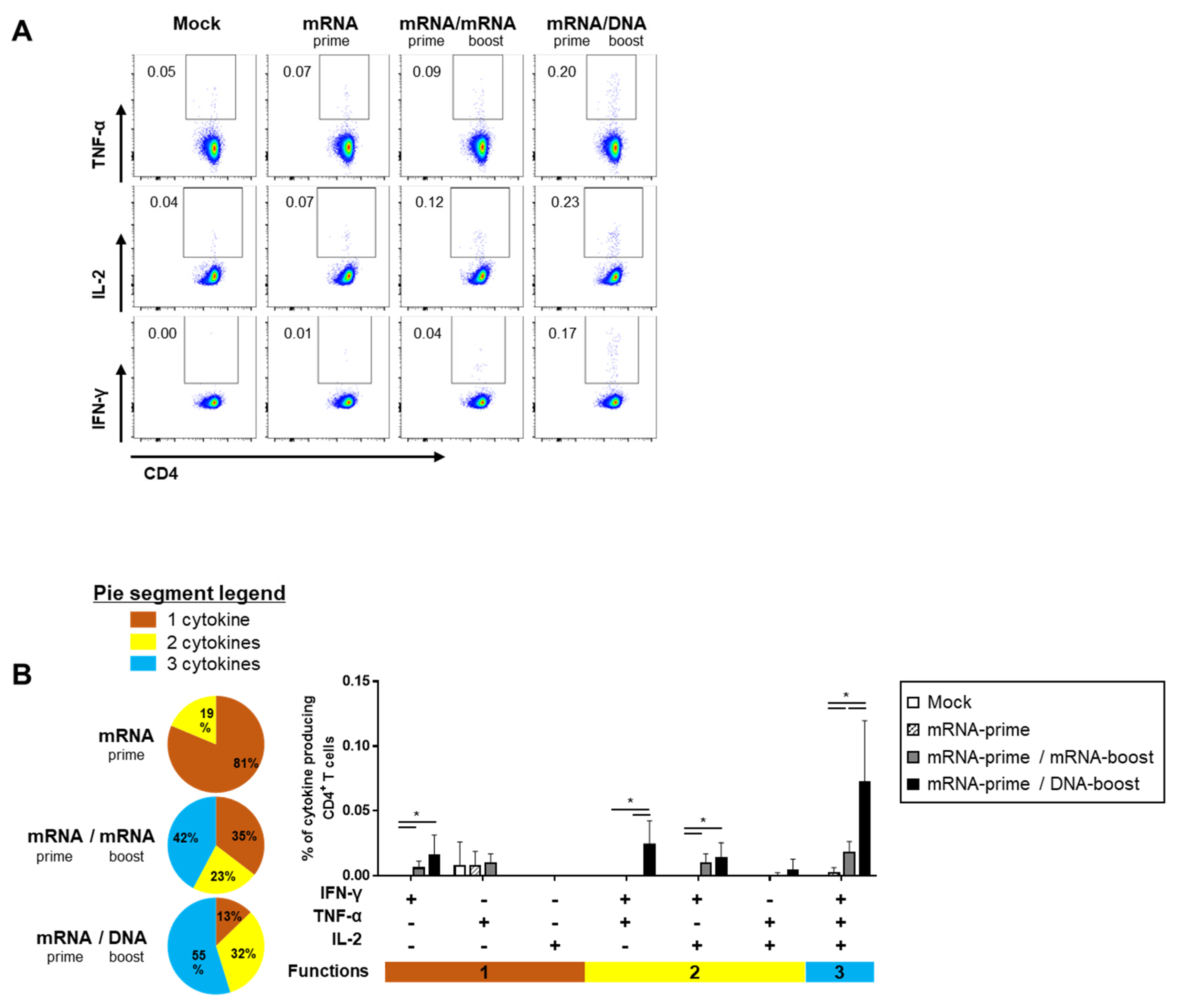 Ijms 24 09753 g004 Ijms 24 09753 g004