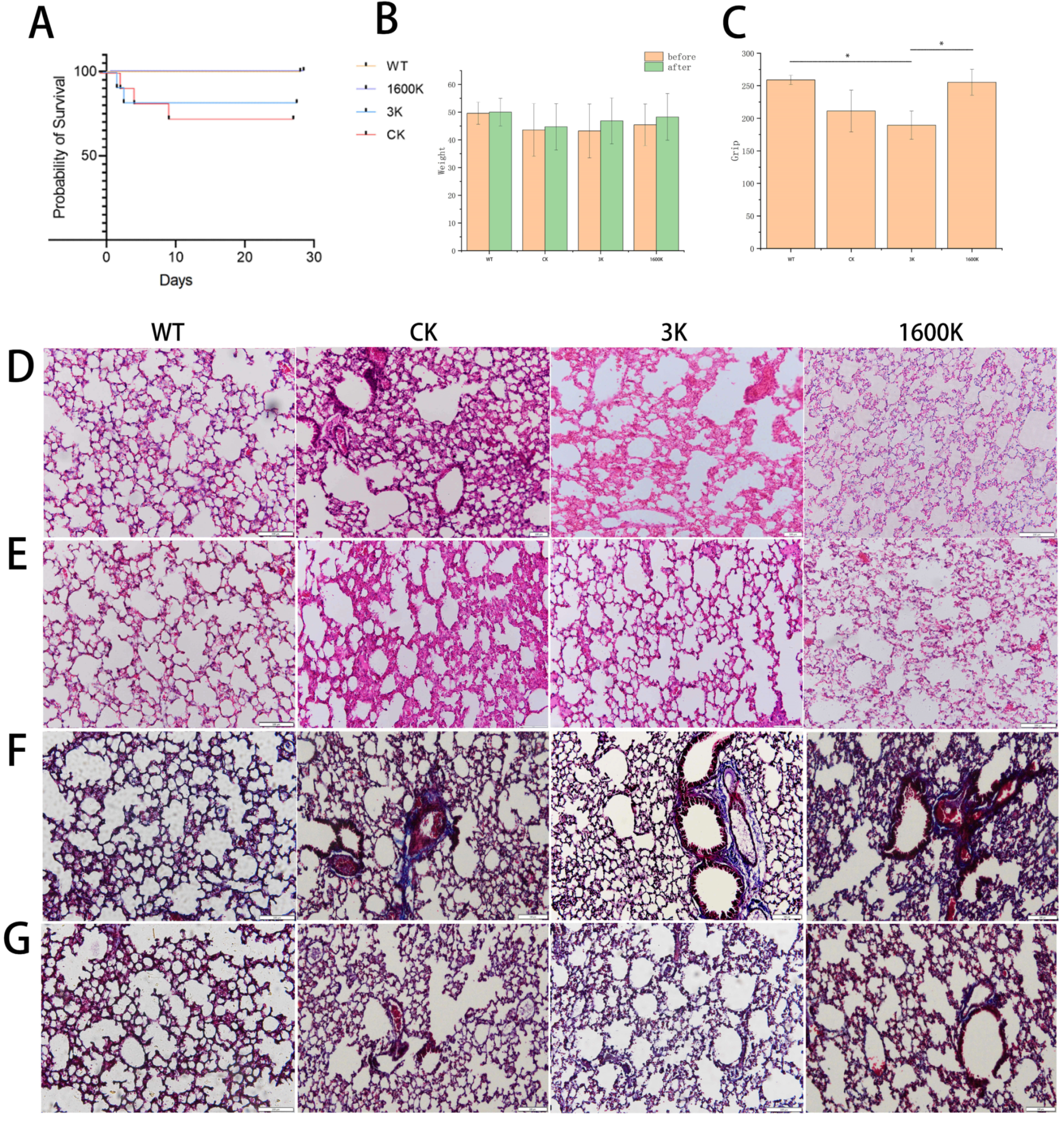 Ijms 24 09757 g001 Ijms 24 09757 g001