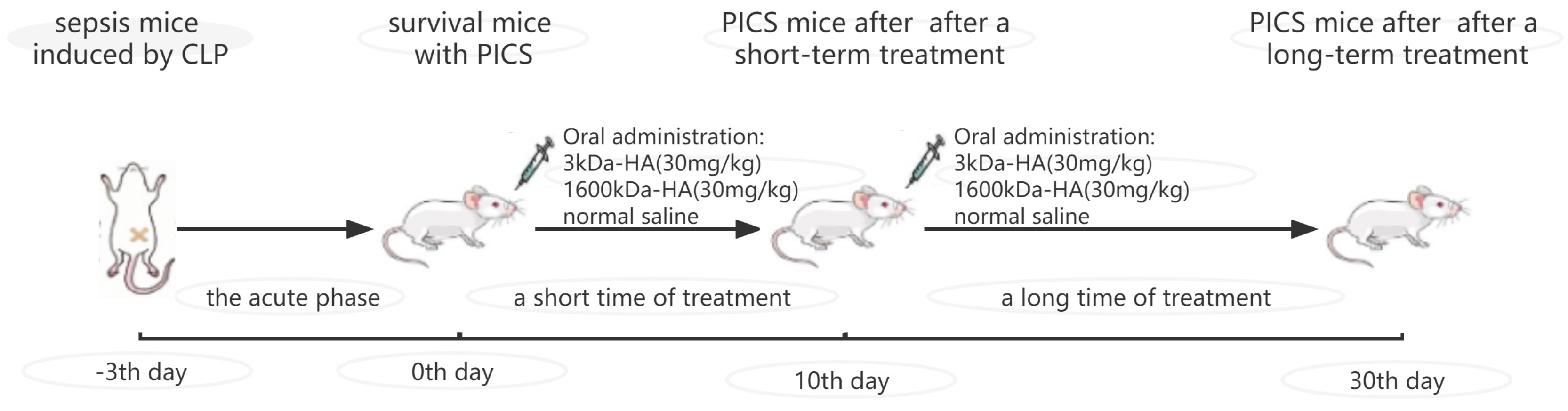 Ijms 24 09757 g006 Ijms 24 09757 g006