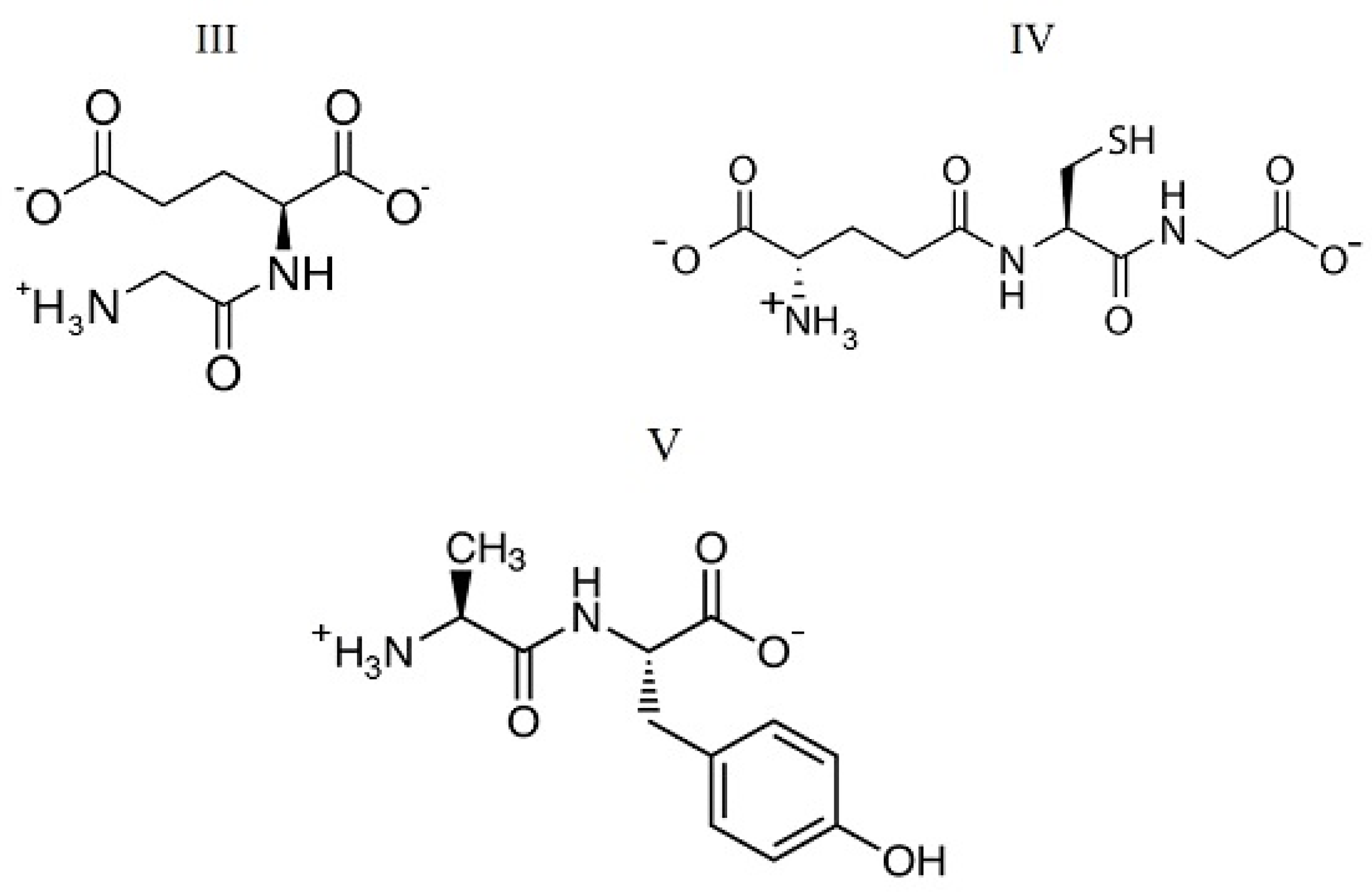 Ijms 24 09764 g002 Ijms 24 09764 g002