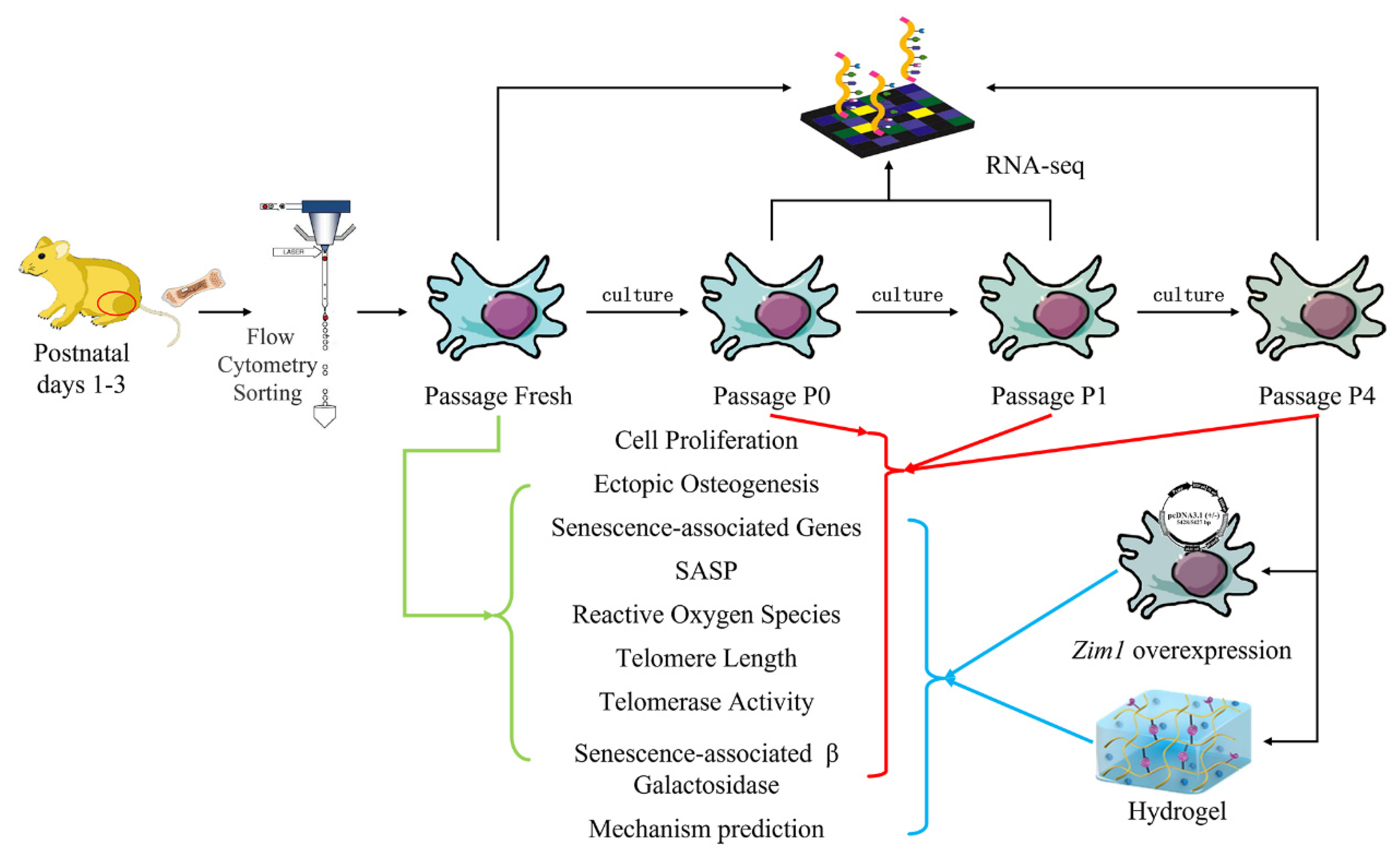 Ijms 24 09766 g001 Ijms 24 09766 g001