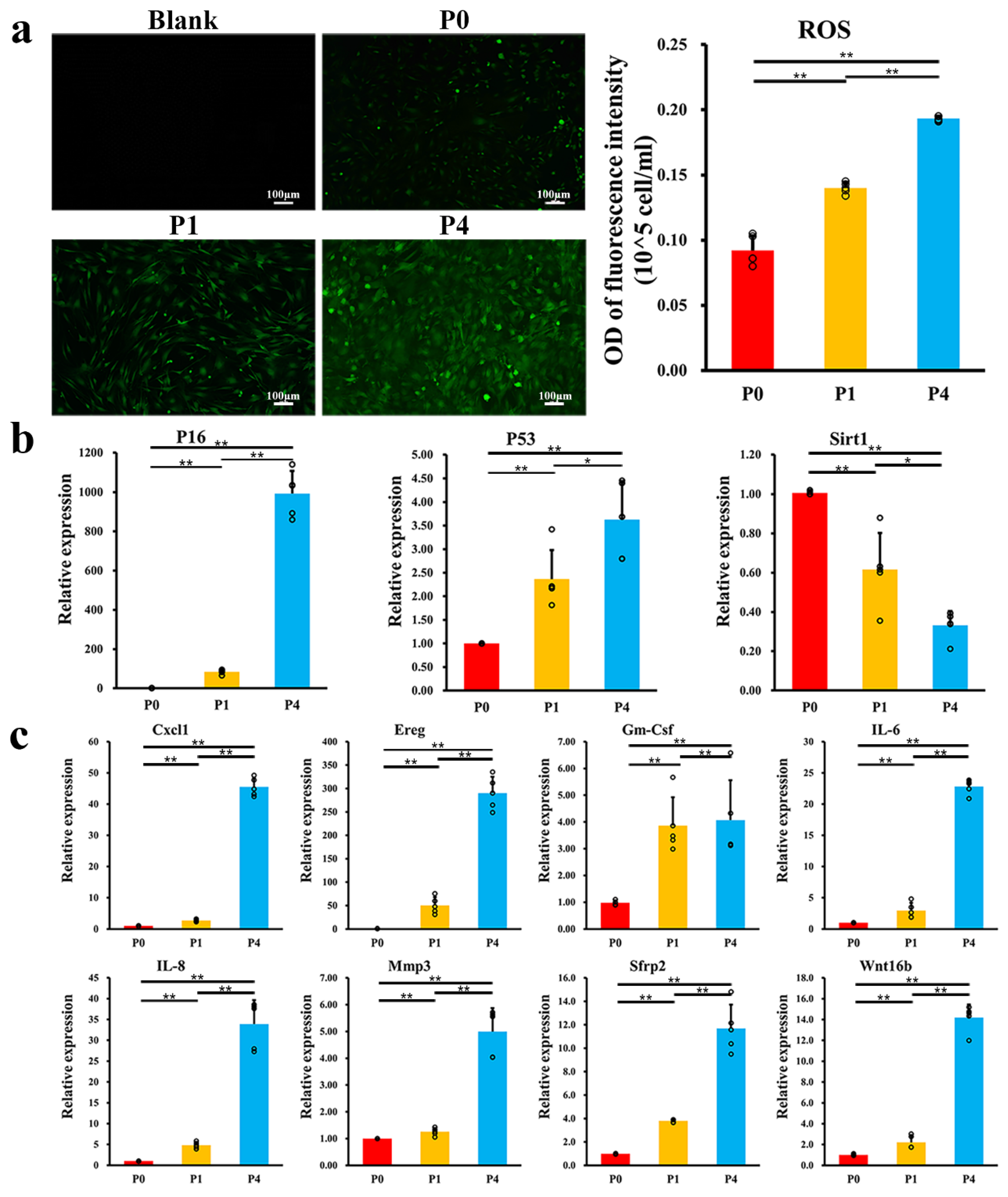 Ijms 24 09766 g003 Ijms 24 09766 g003