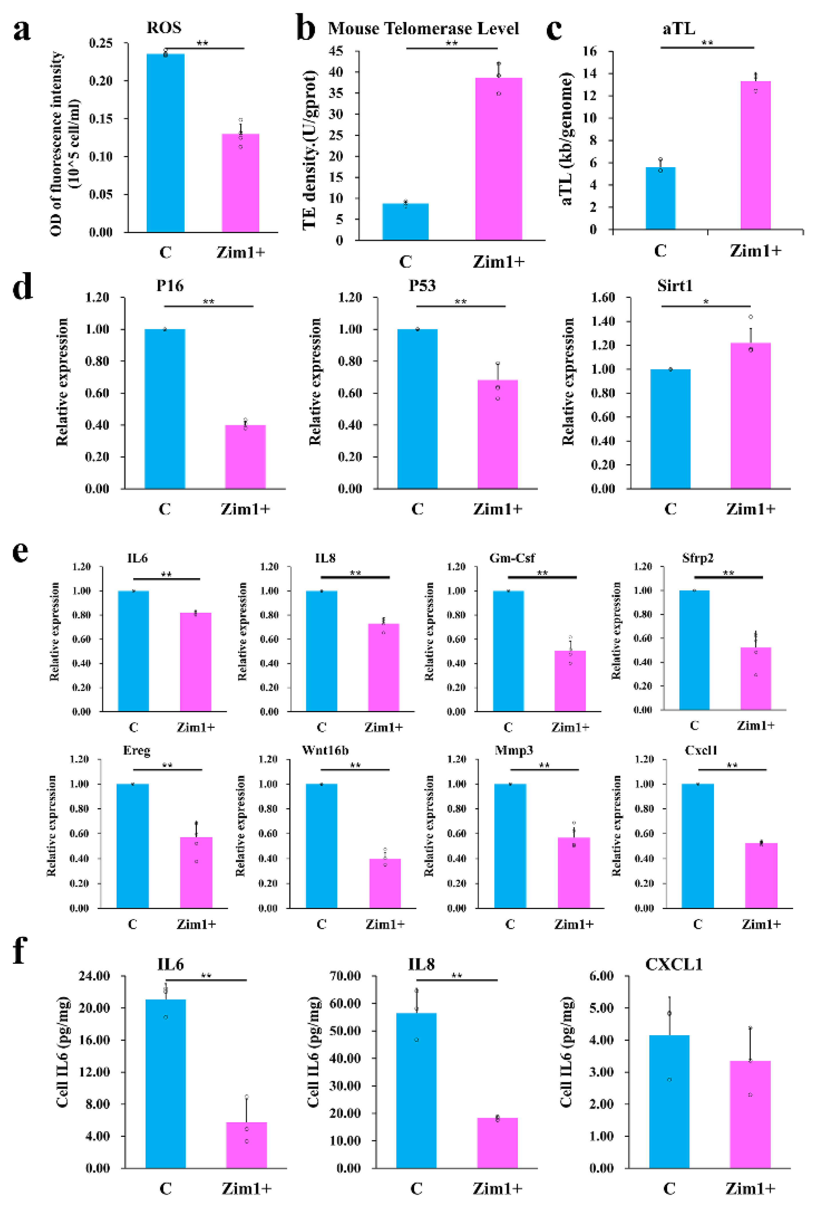 Ijms 24 09766 g007 Ijms 24 09766 g007