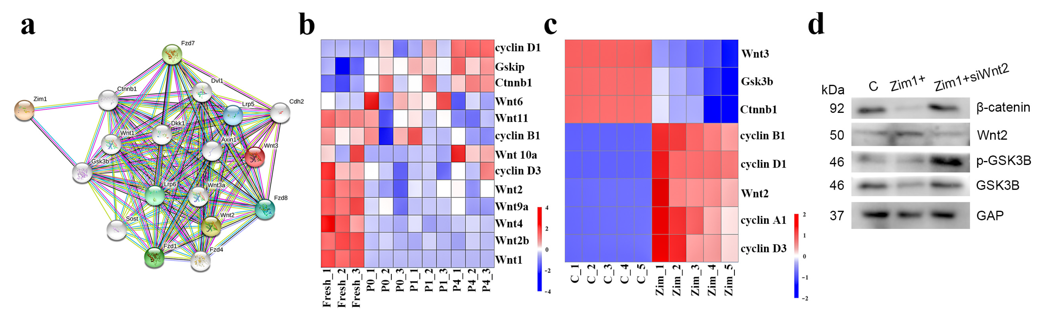 Ijms 24 09766 g008 Ijms 24 09766 g008