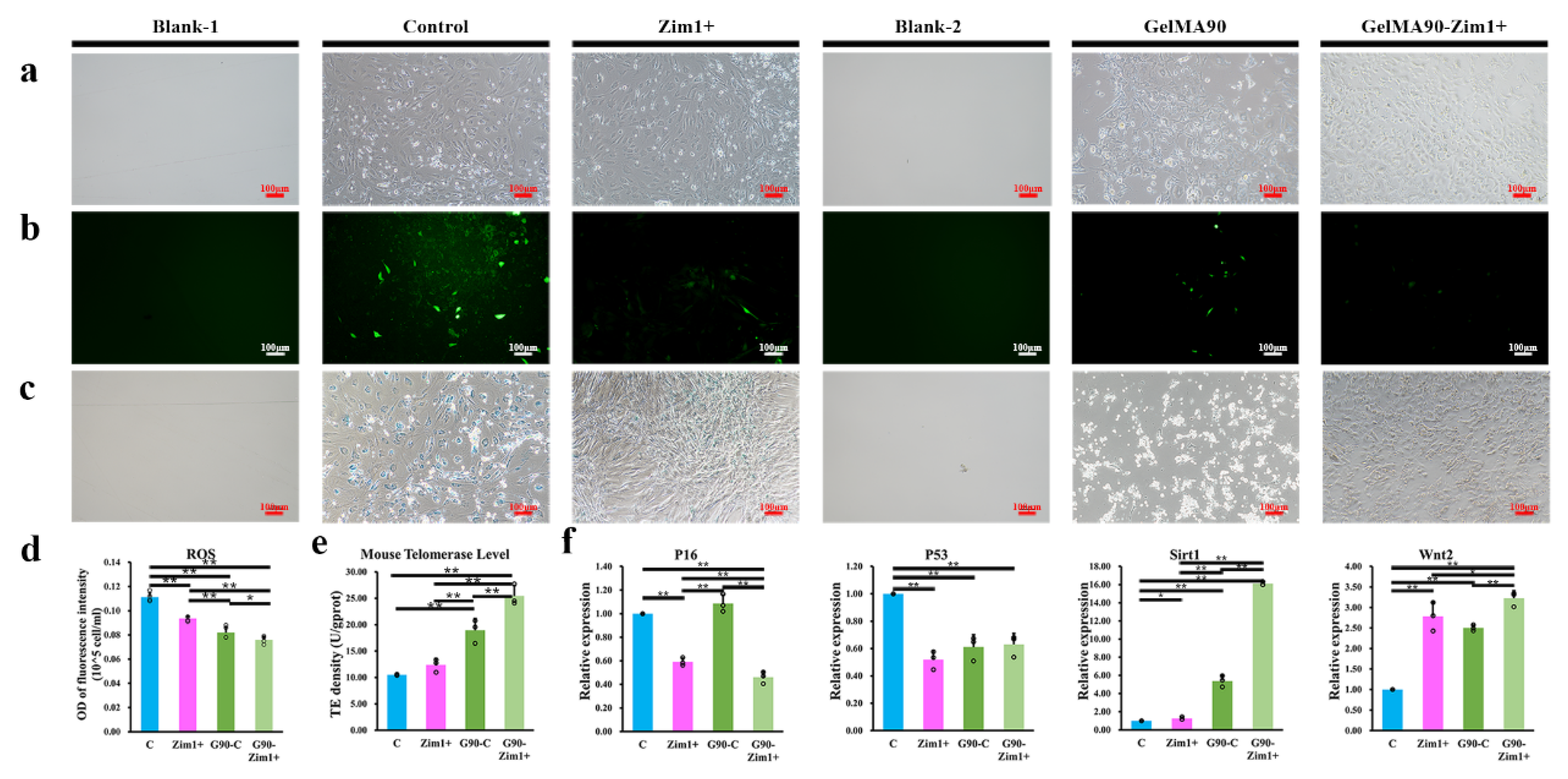 Ijms 24 09766 g009 Ijms 24 09766 g009