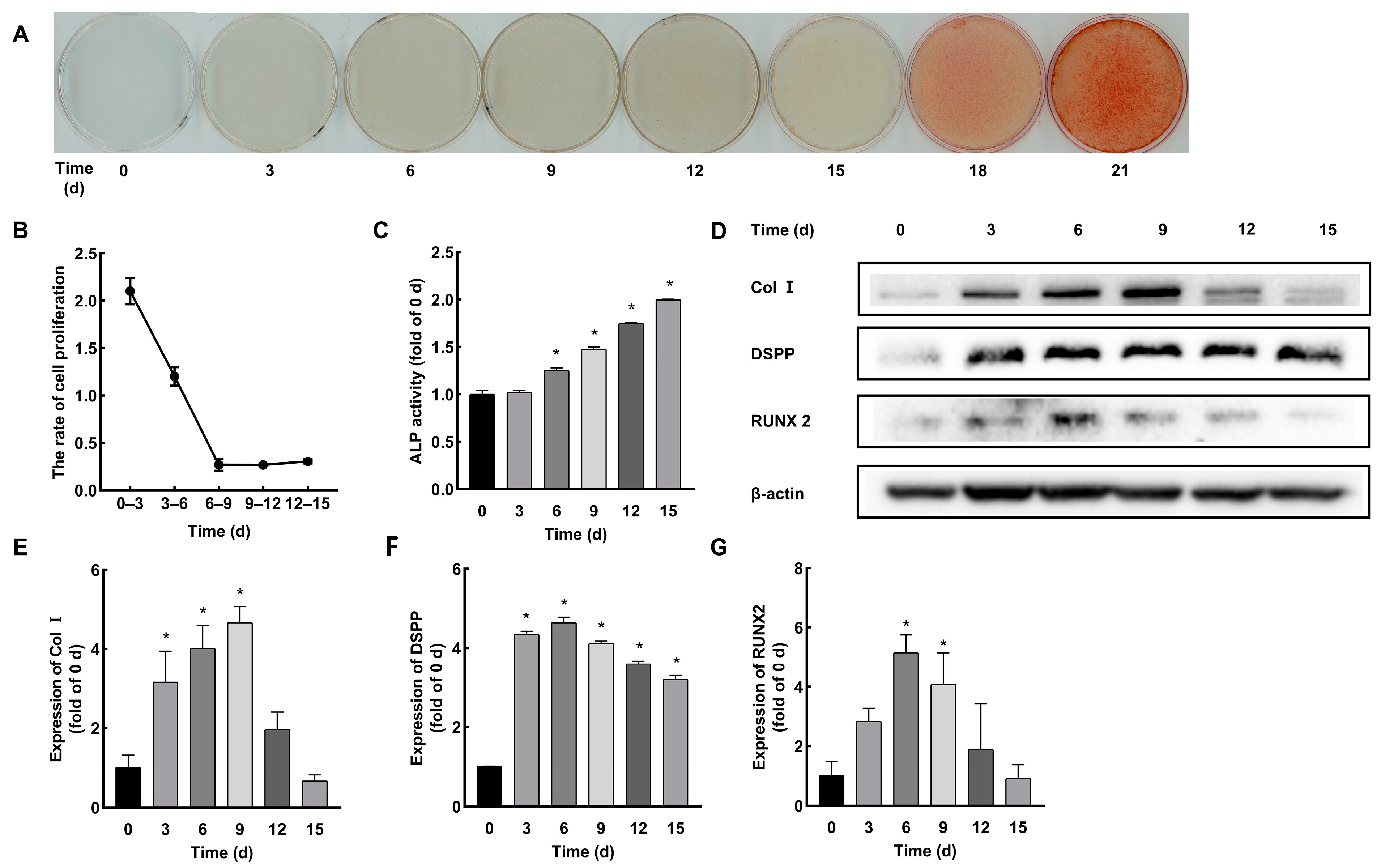 Ijms 24 09767 g002 Ijms 24 09767 g002