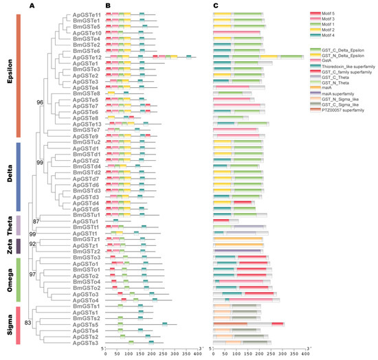 Genome-Wide Identification of Detoxification Genes in Wild Silkworm ...