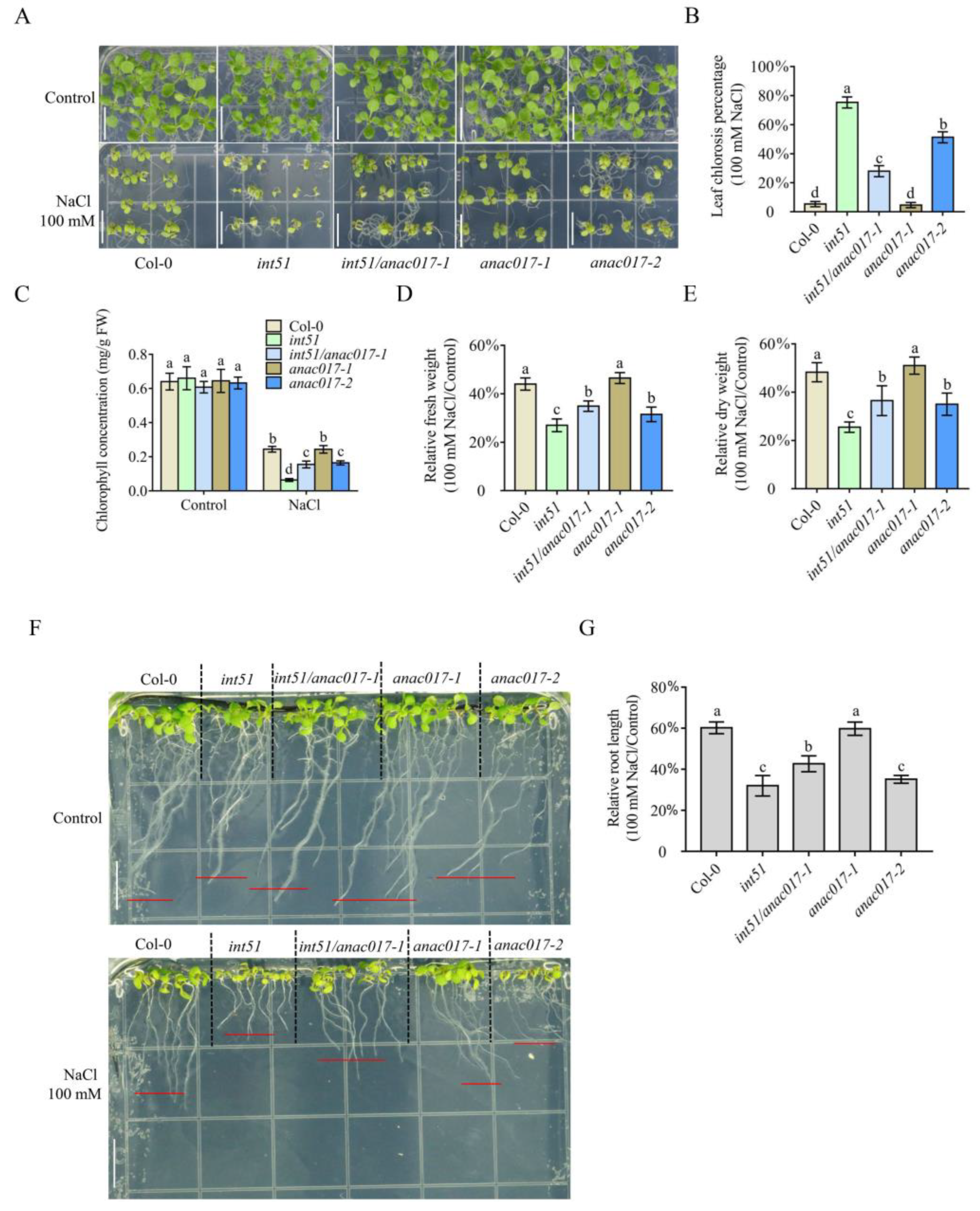 Ijms 24 09793 g001 Ijms 24 09793 g001