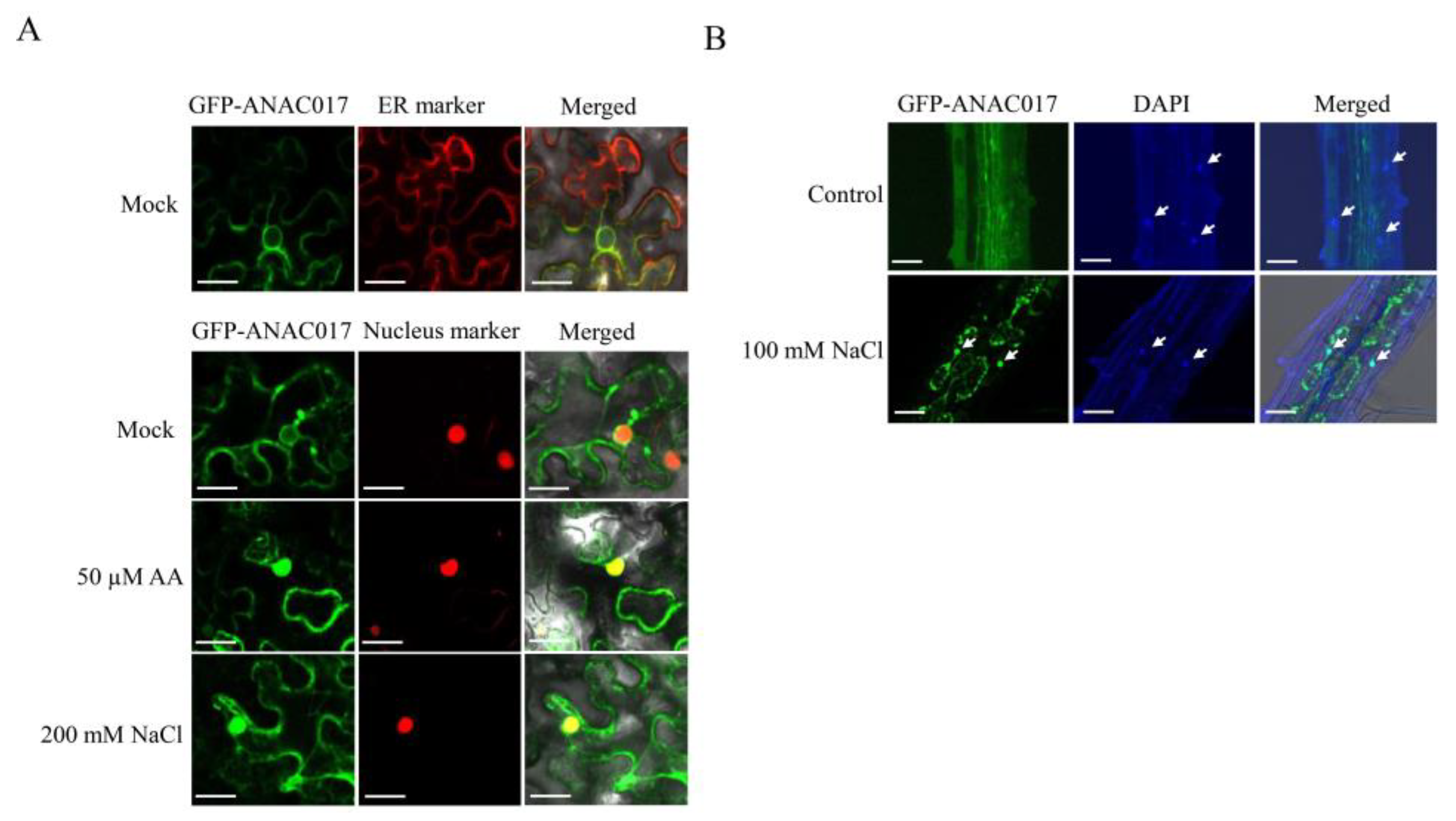 Ijms 24 09793 g002 Ijms 24 09793 g002