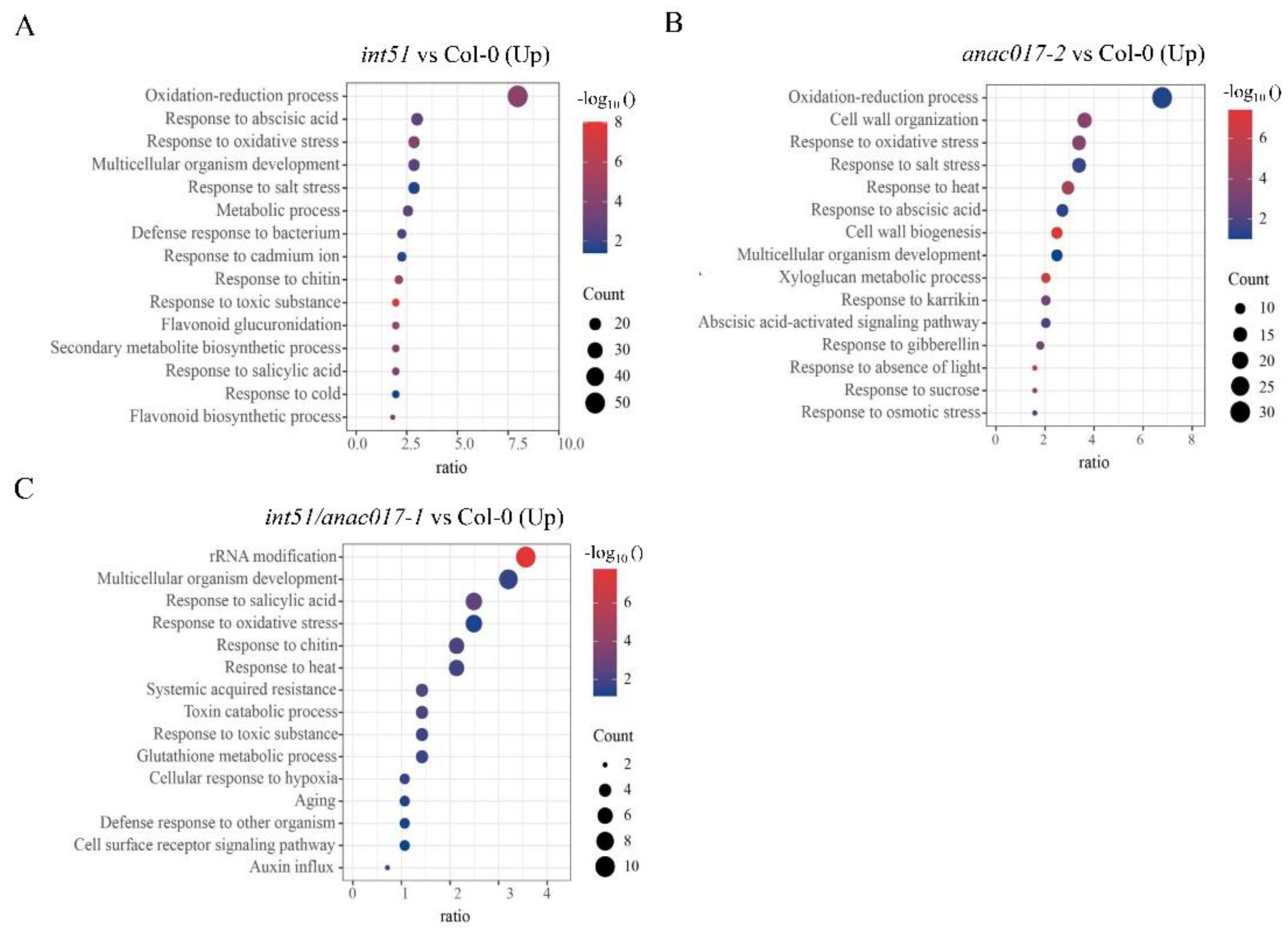 Ijms 24 09793 g005 Ijms 24 09793 g005
