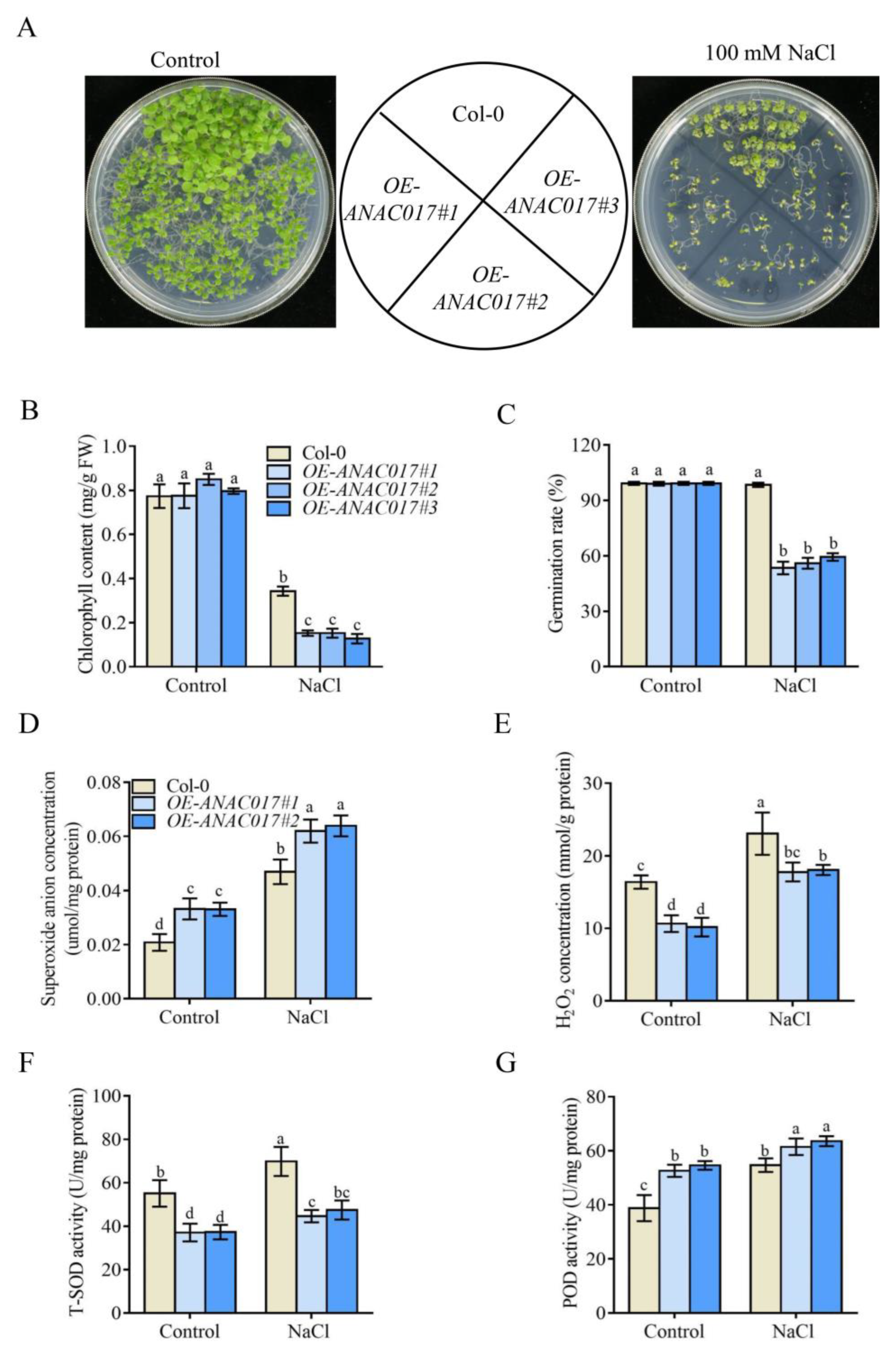 Ijms 24 09793 g007 Ijms 24 09793 g007
