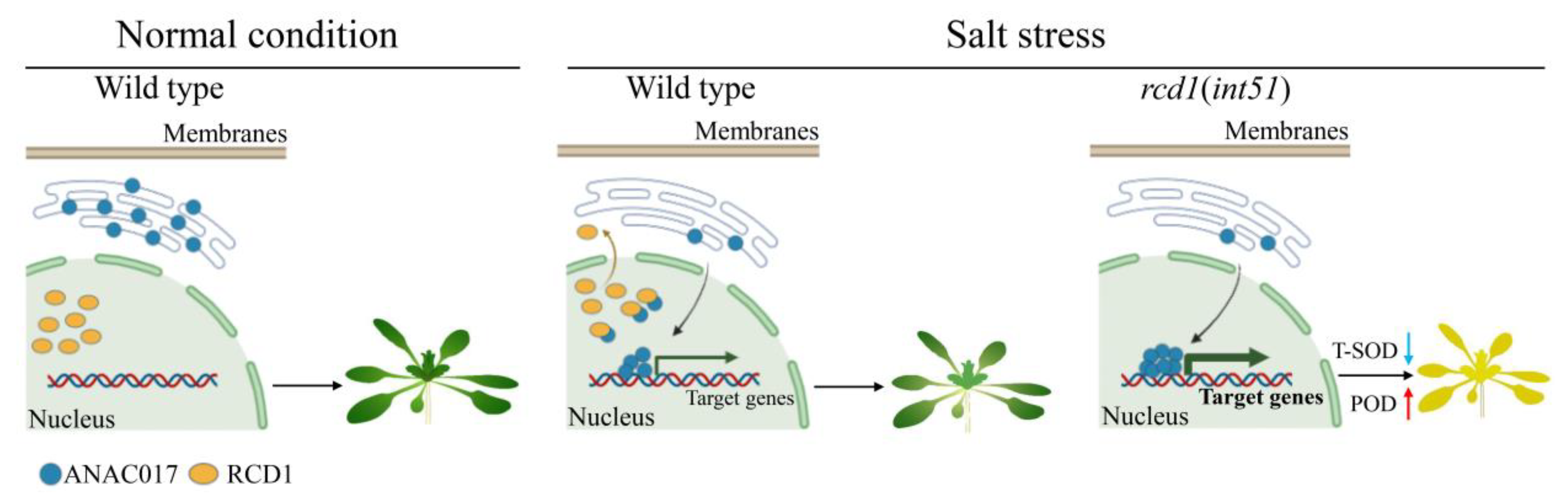 Ijms 24 09793 g008 Ijms 24 09793 g008