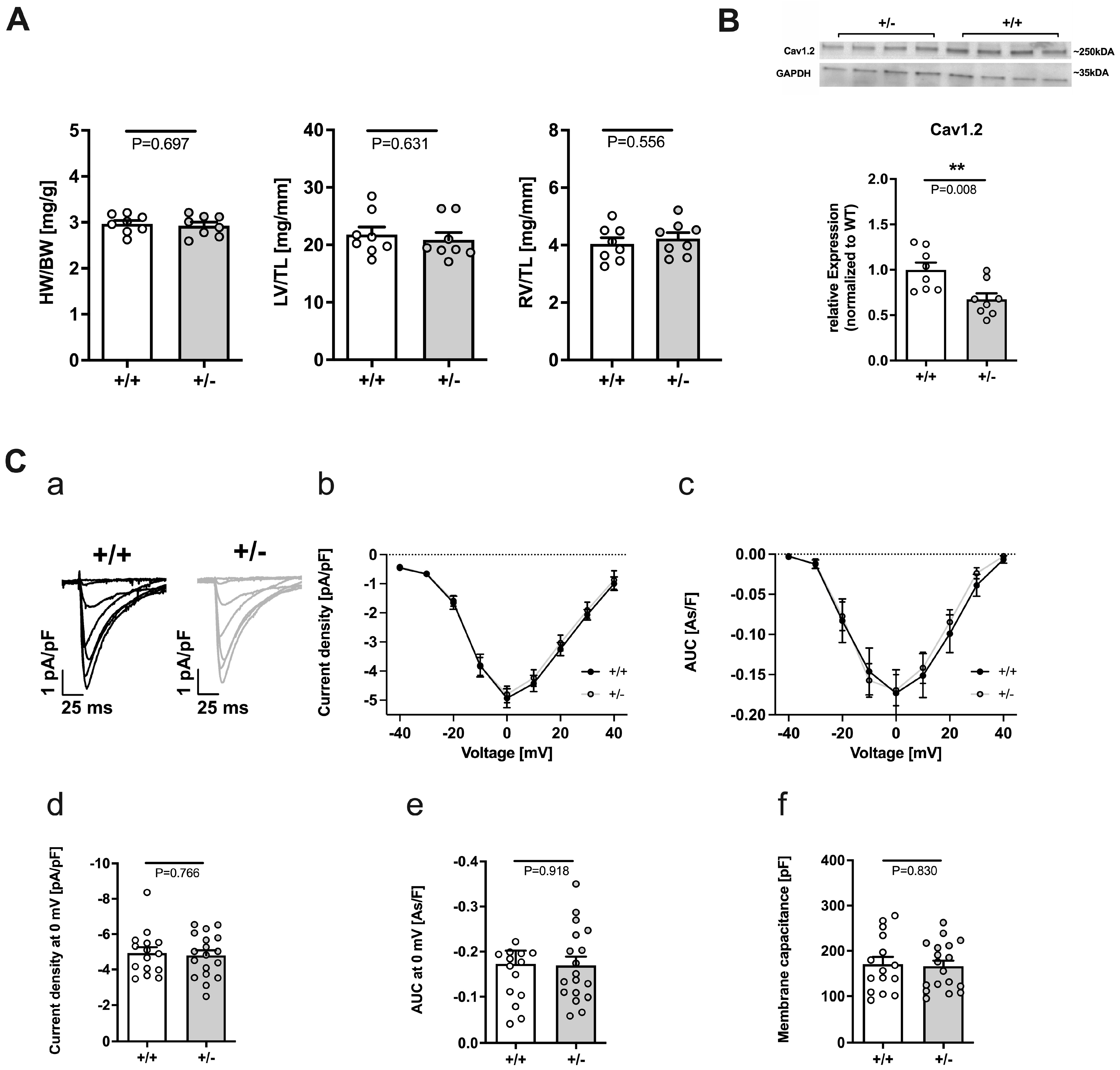Ijms 24 09795 g001 Ijms 24 09795 g001