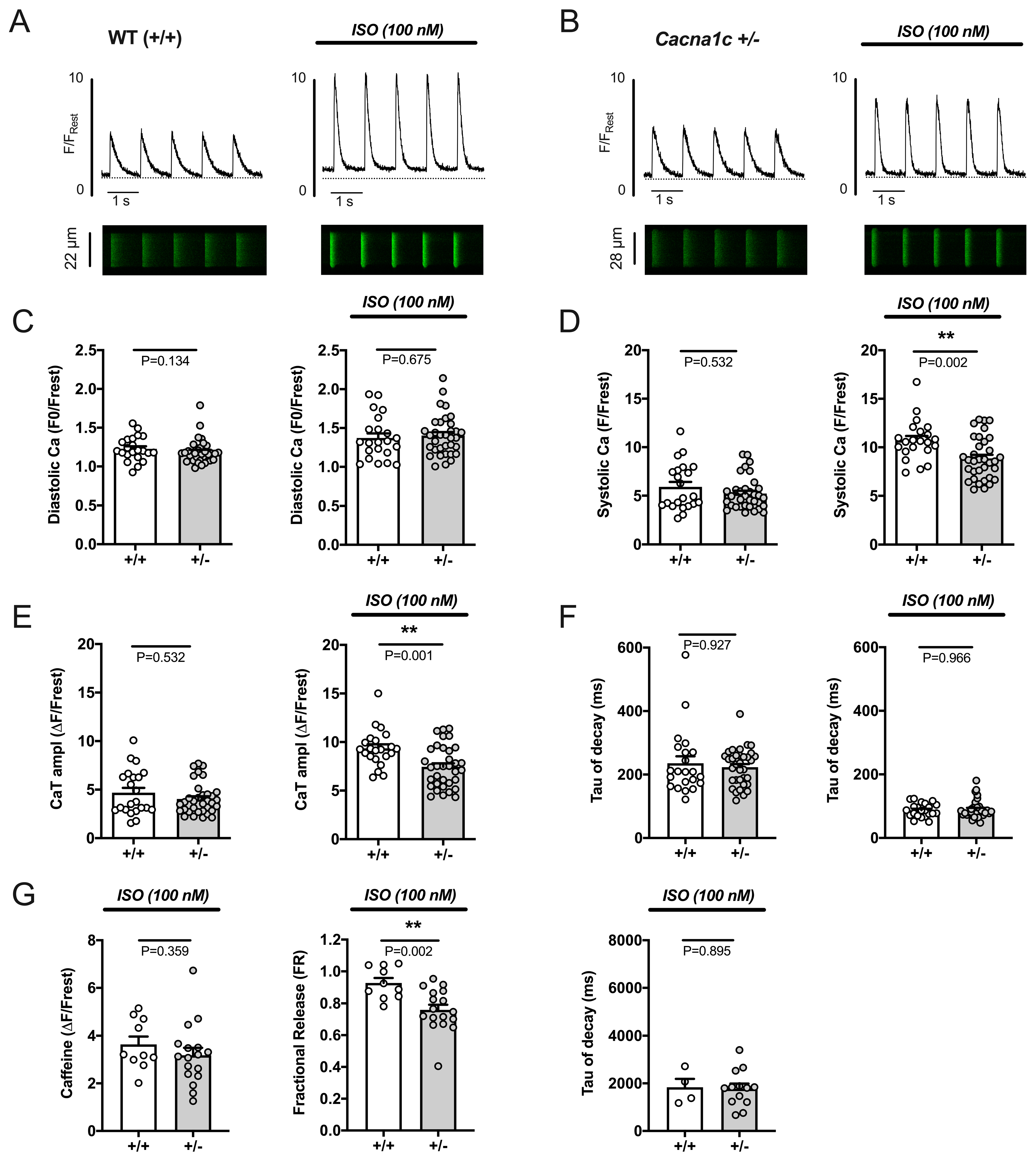 Ijms 24 09795 g004 Ijms 24 09795 g004