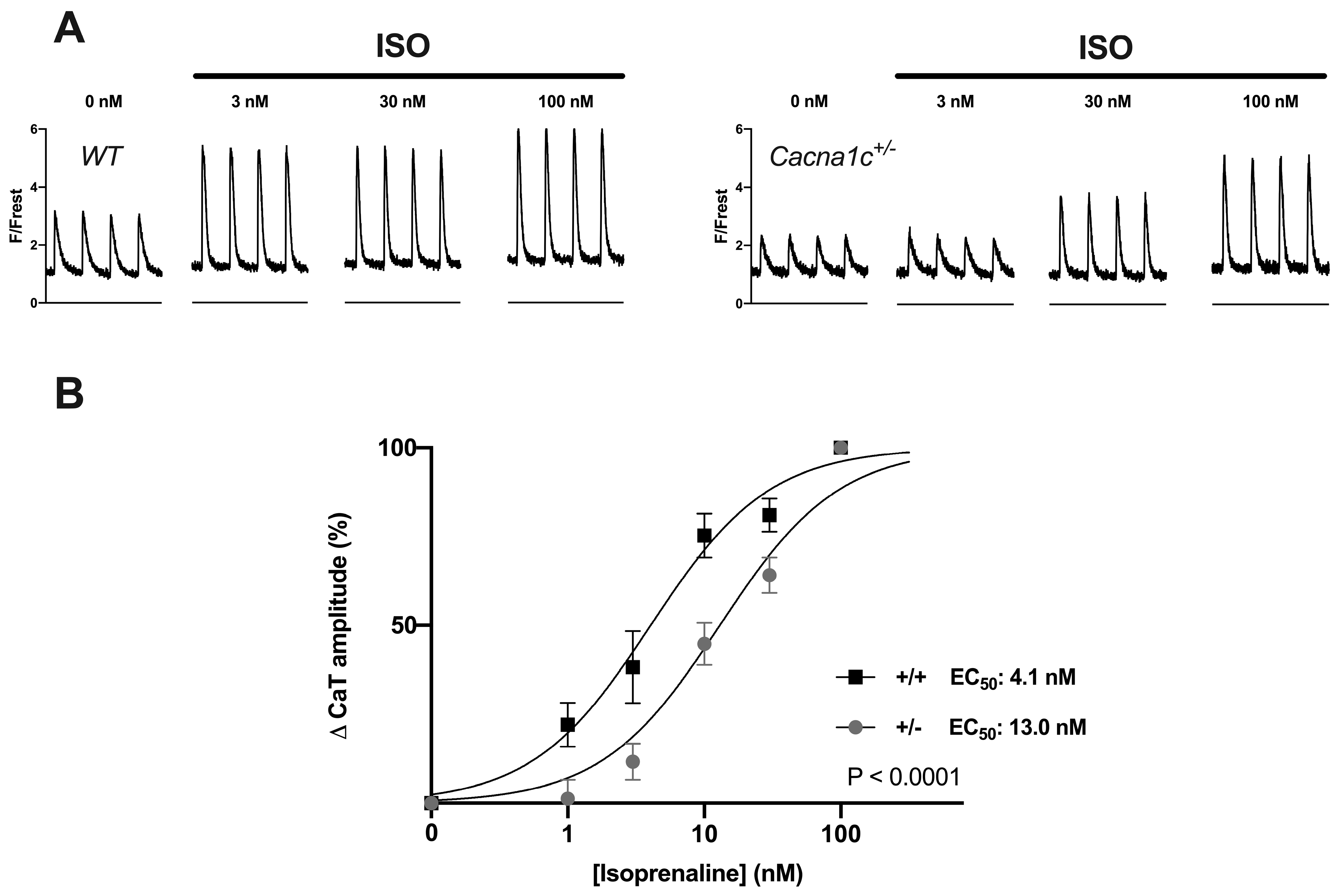 Ijms 24 09795 g005 Ijms 24 09795 g005