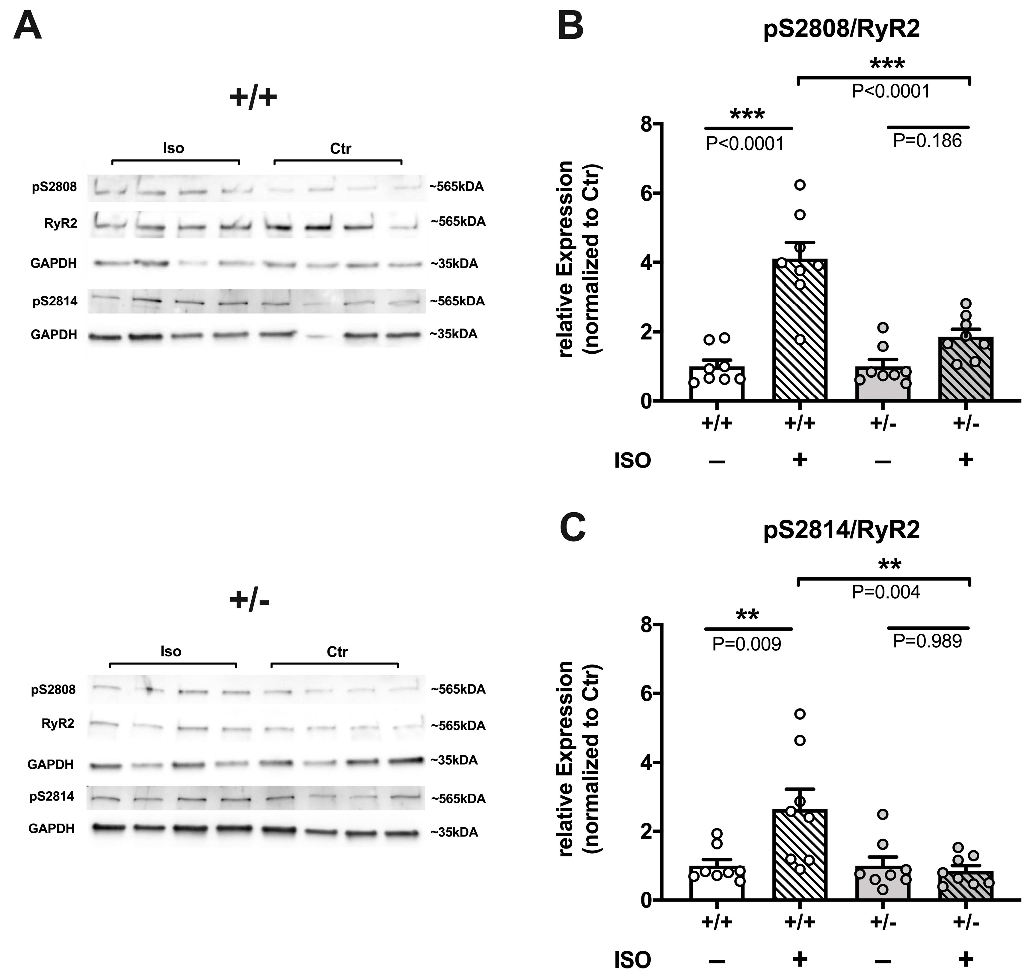 Ijms 24 09795 g006 Ijms 24 09795 g006