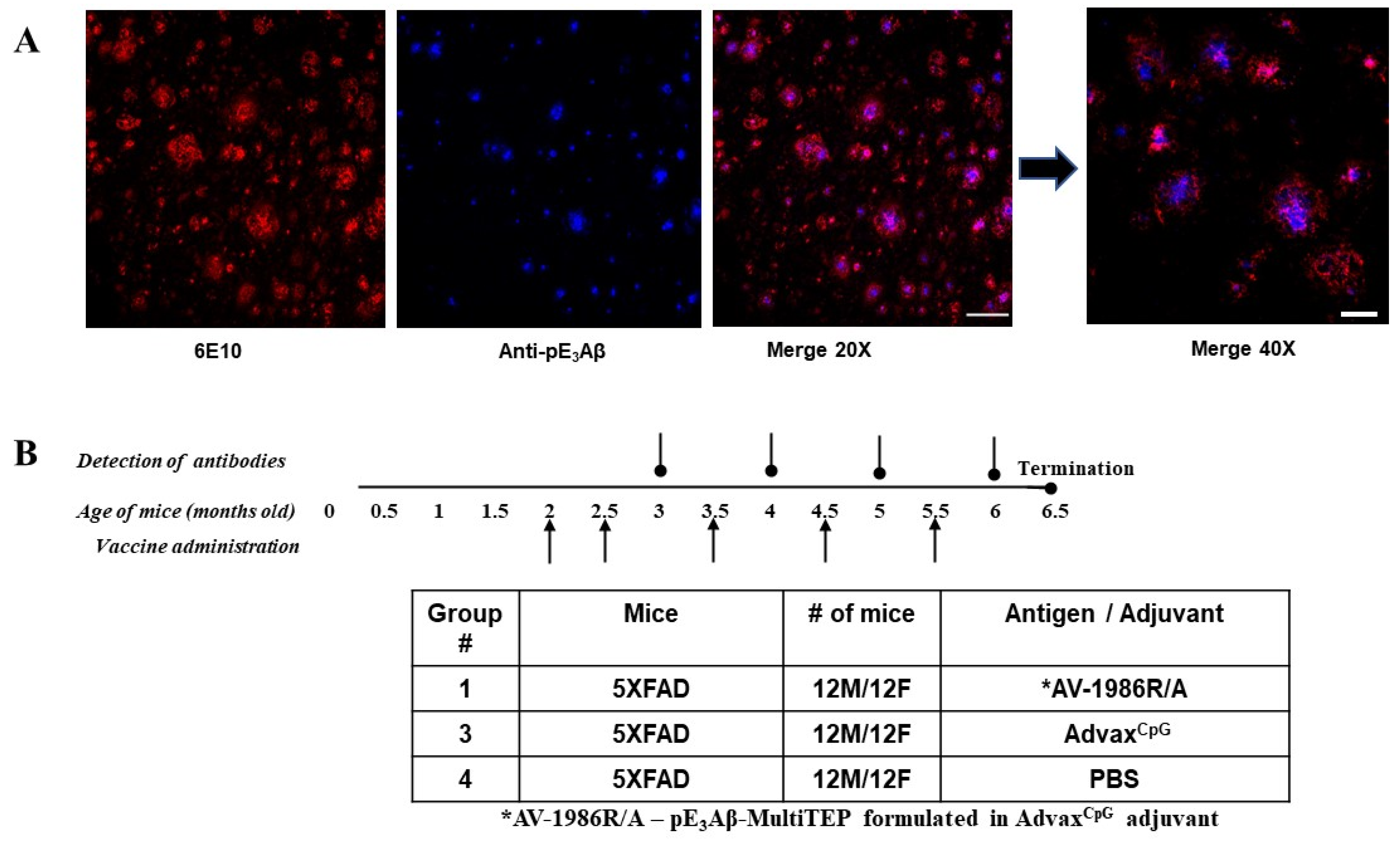 Ijms 24 09797 g002 Ijms 24 09797 g002