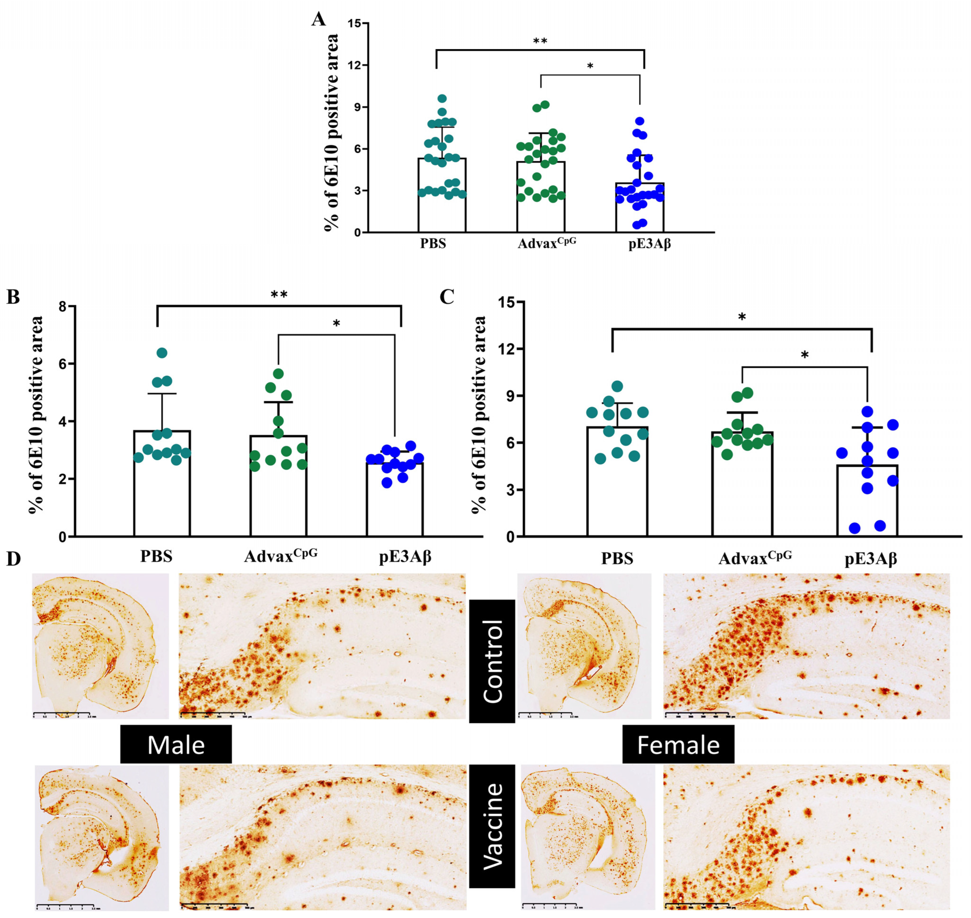 Ijms 24 09797 g005 Ijms 24 09797 g005