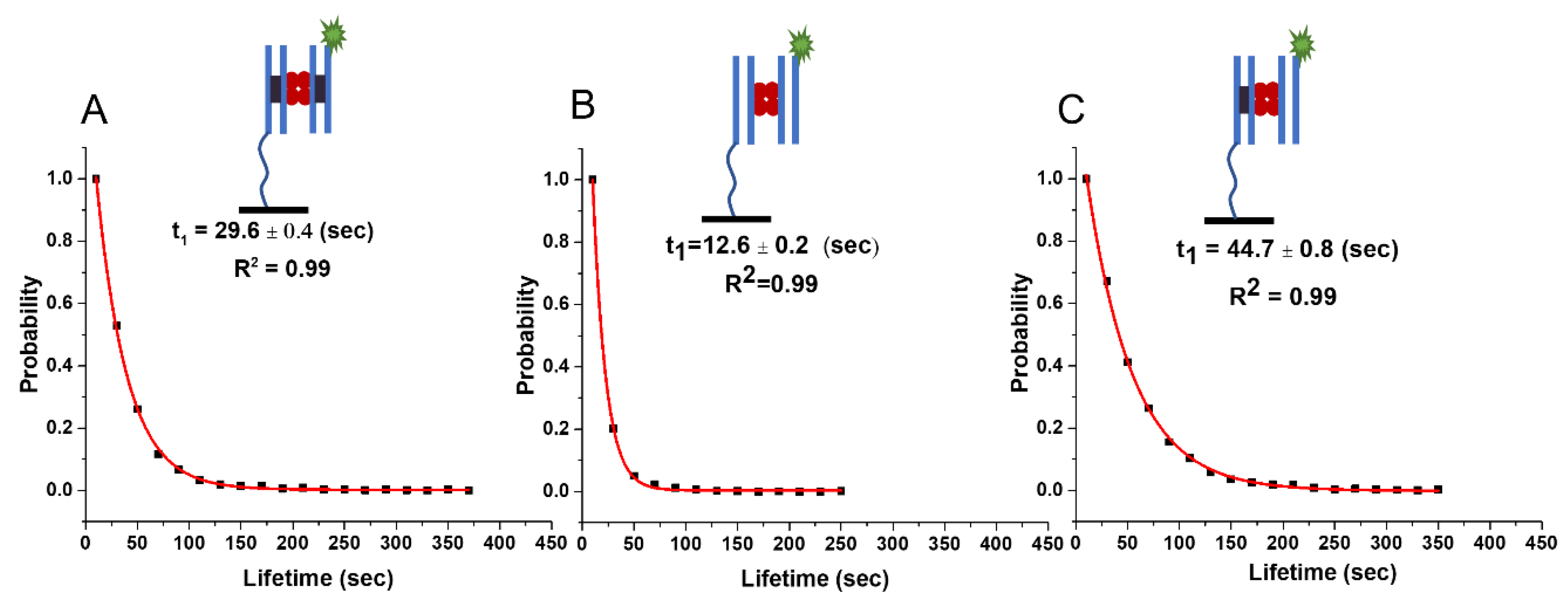 Ijms 24 09800 g002 Ijms 24 09800 g002