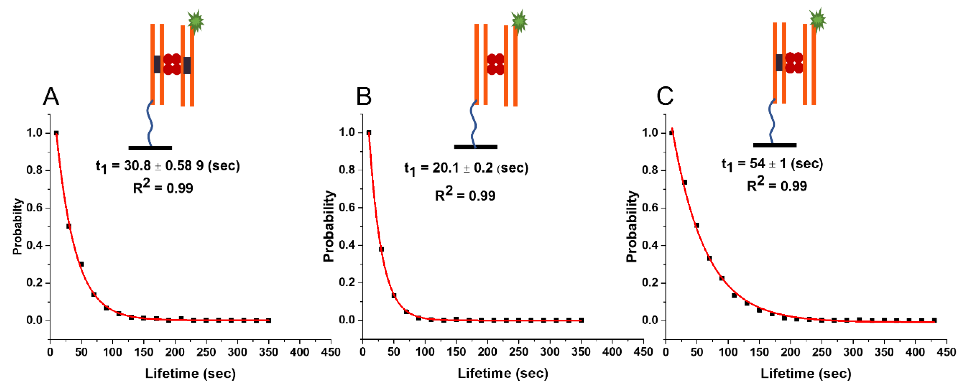 Ijms 24 09800 g003 Ijms 24 09800 g003