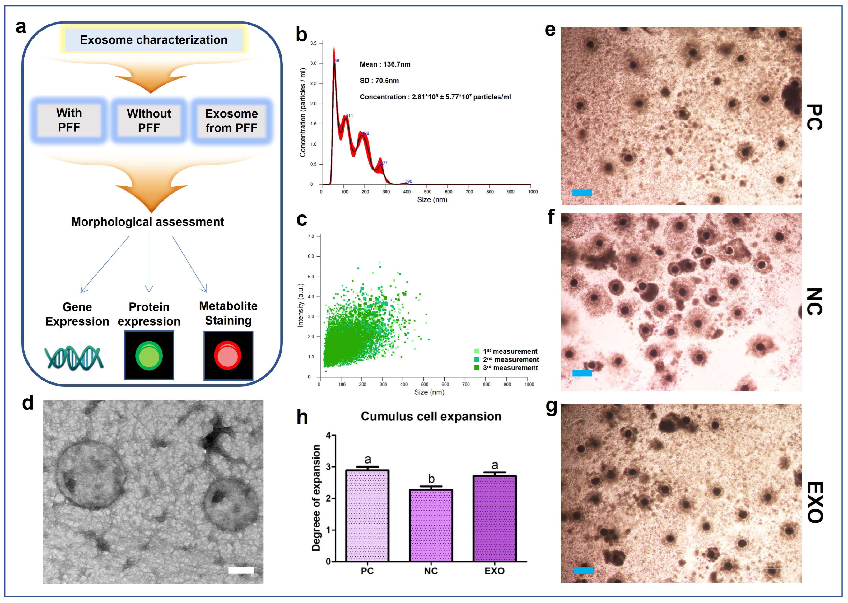 Ijms 24 09807 g001 Ijms 24 09807 g001