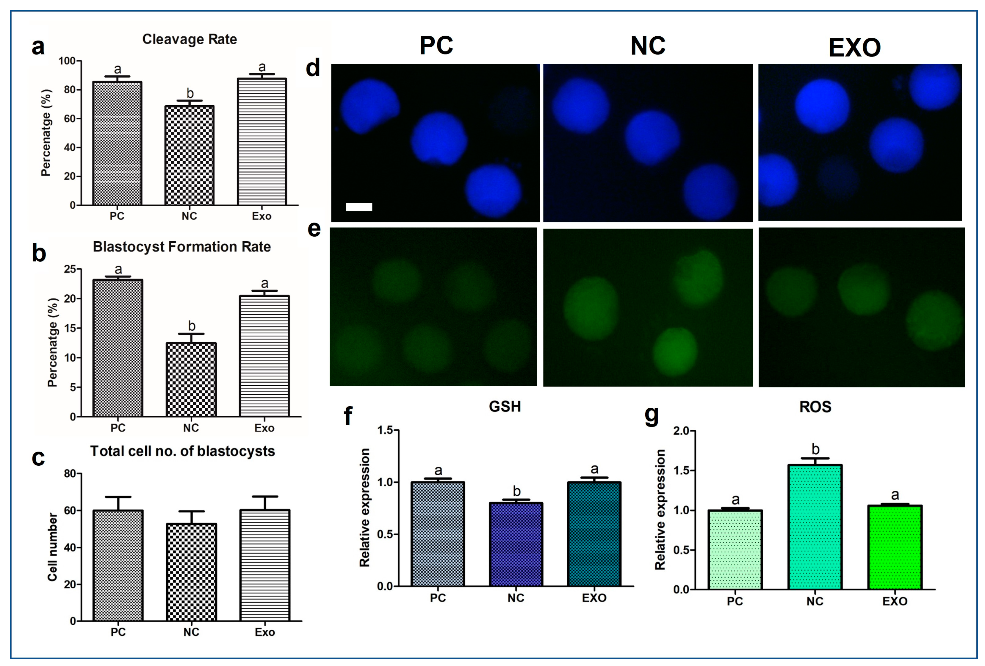 Ijms 24 09807 g002 Ijms 24 09807 g002
