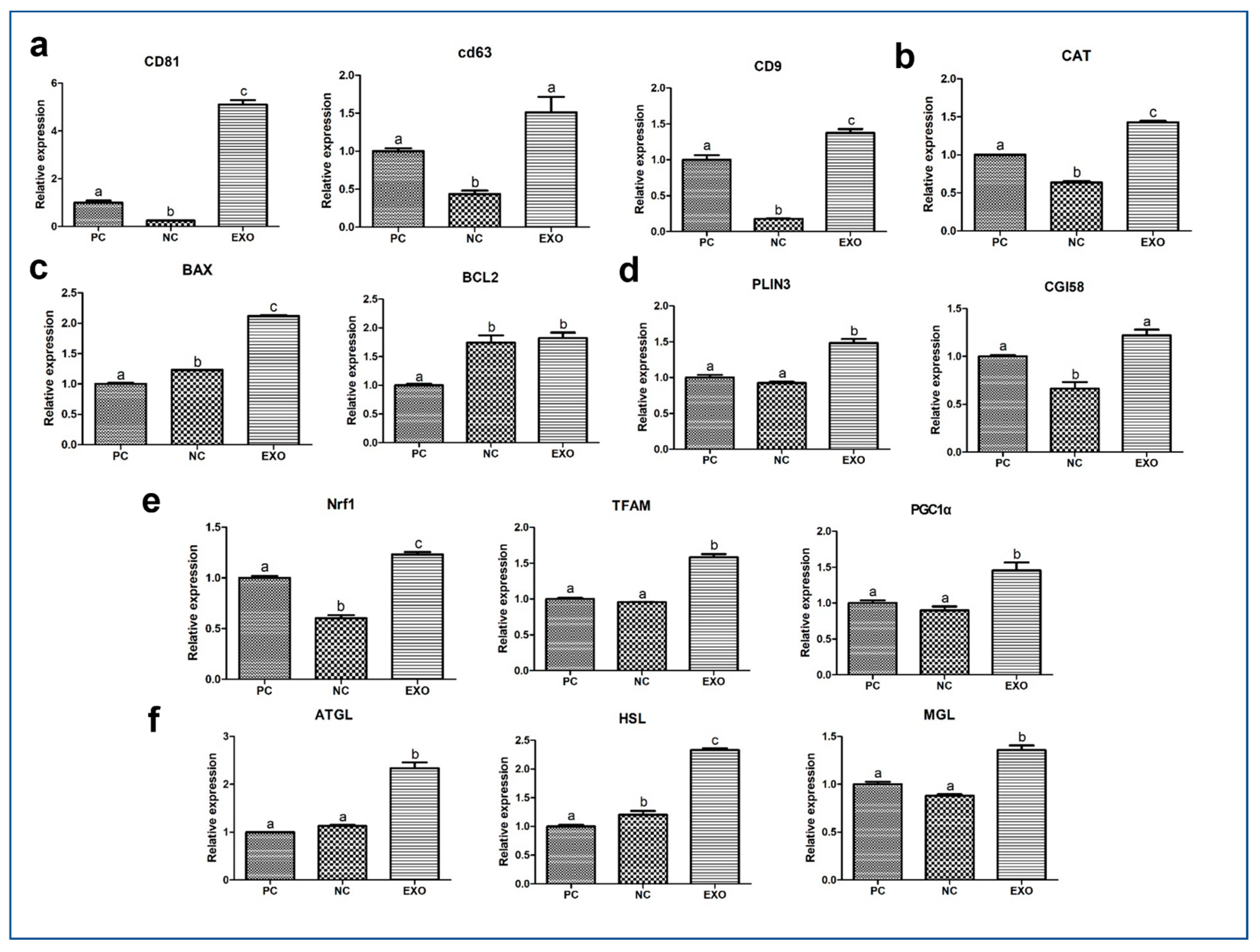 Ijms 24 09807 g003 Ijms 24 09807 g003