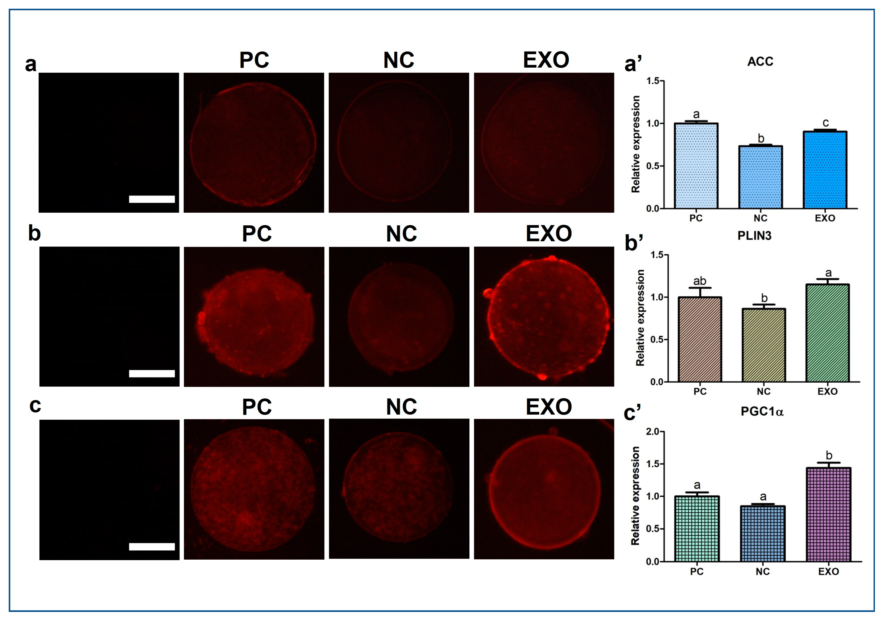 Ijms 24 09807 g004 Ijms 24 09807 g004