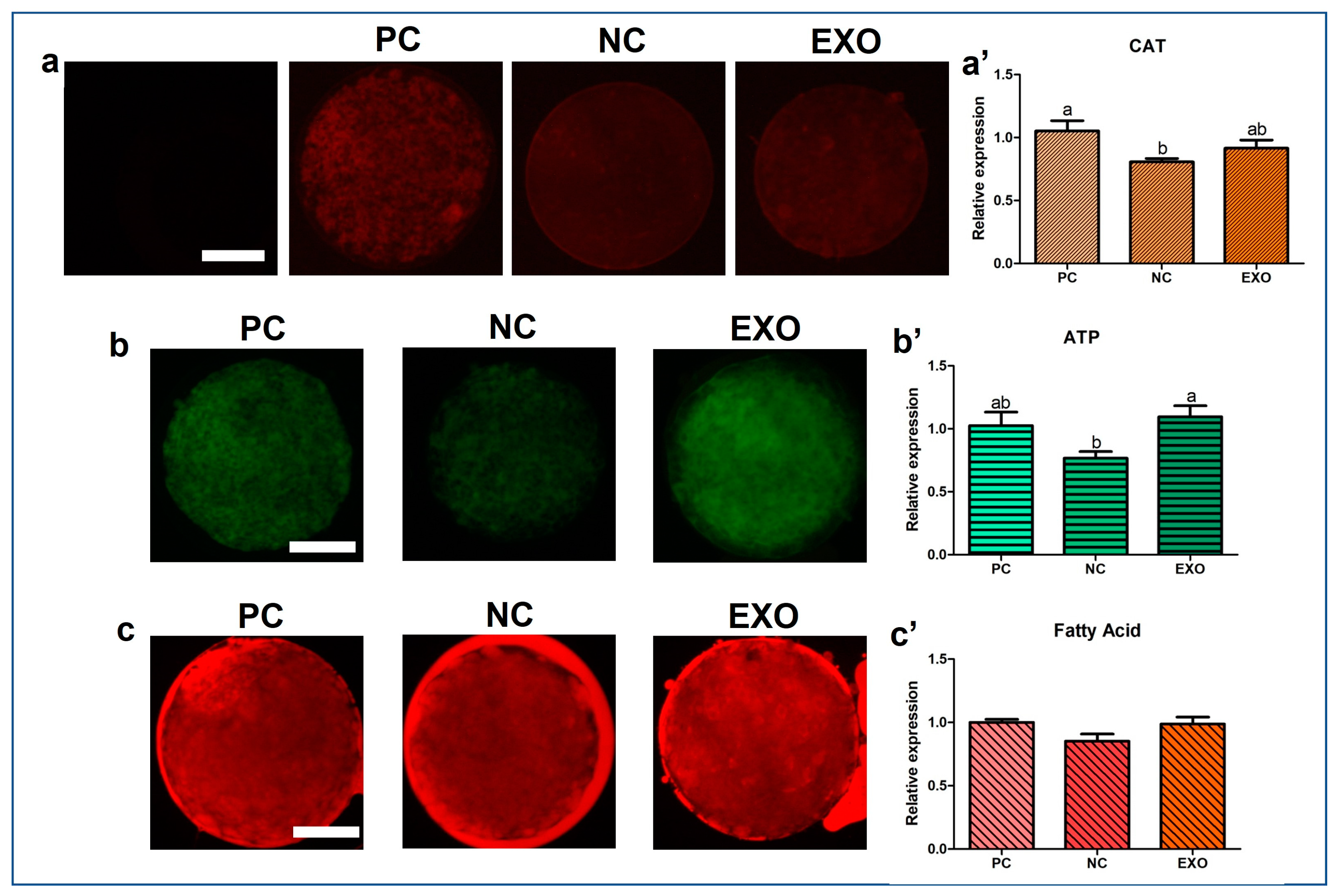 Ijms 24 09807 g005 Ijms 24 09807 g005