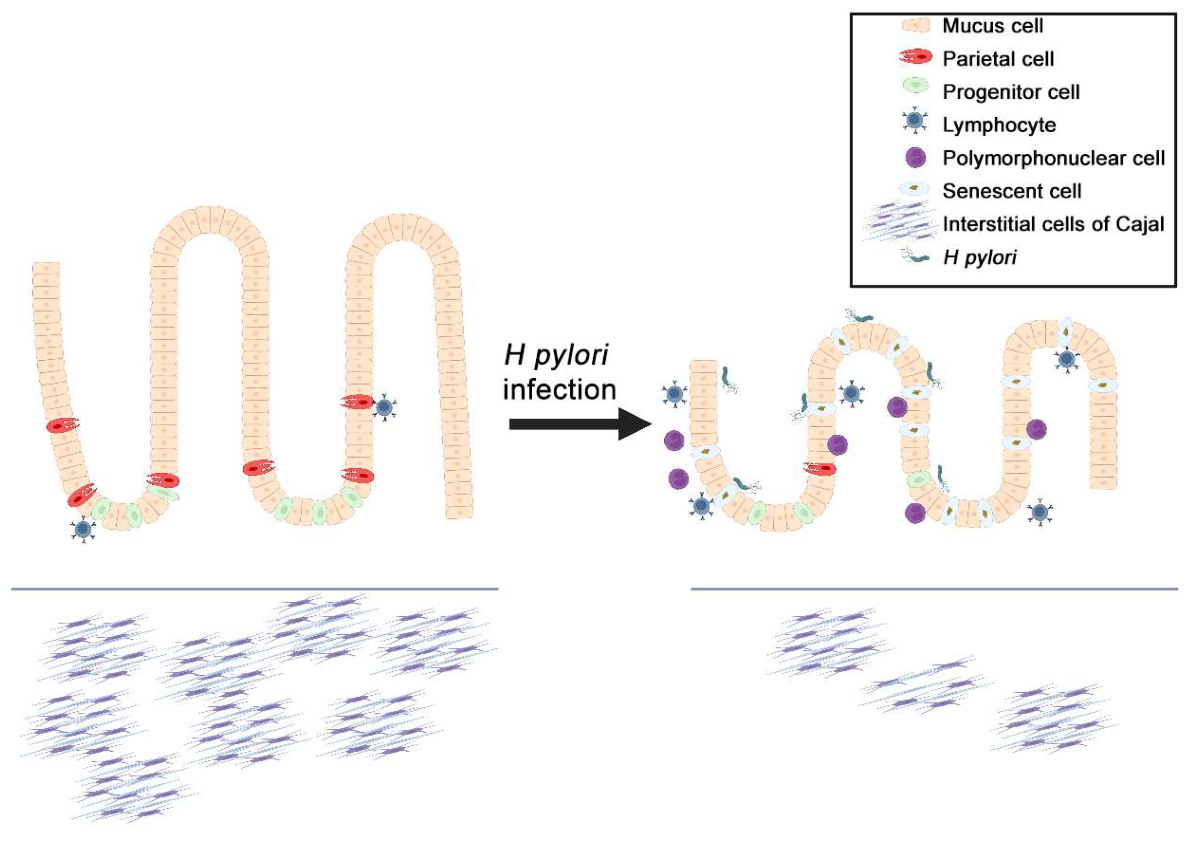 Ijms 24 09810 g002 Ijms 24 09810 g002