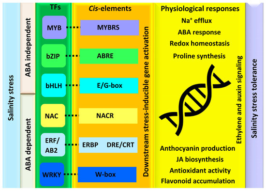 Insights into the Transcriptomics of Crop Wild Relatives to