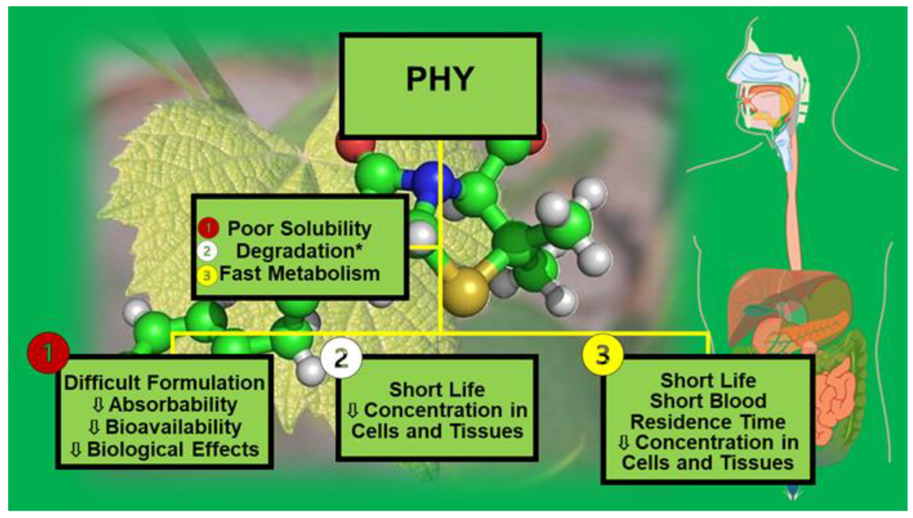 Ijms 24 09824 g001 Ijms 24 09824 g001