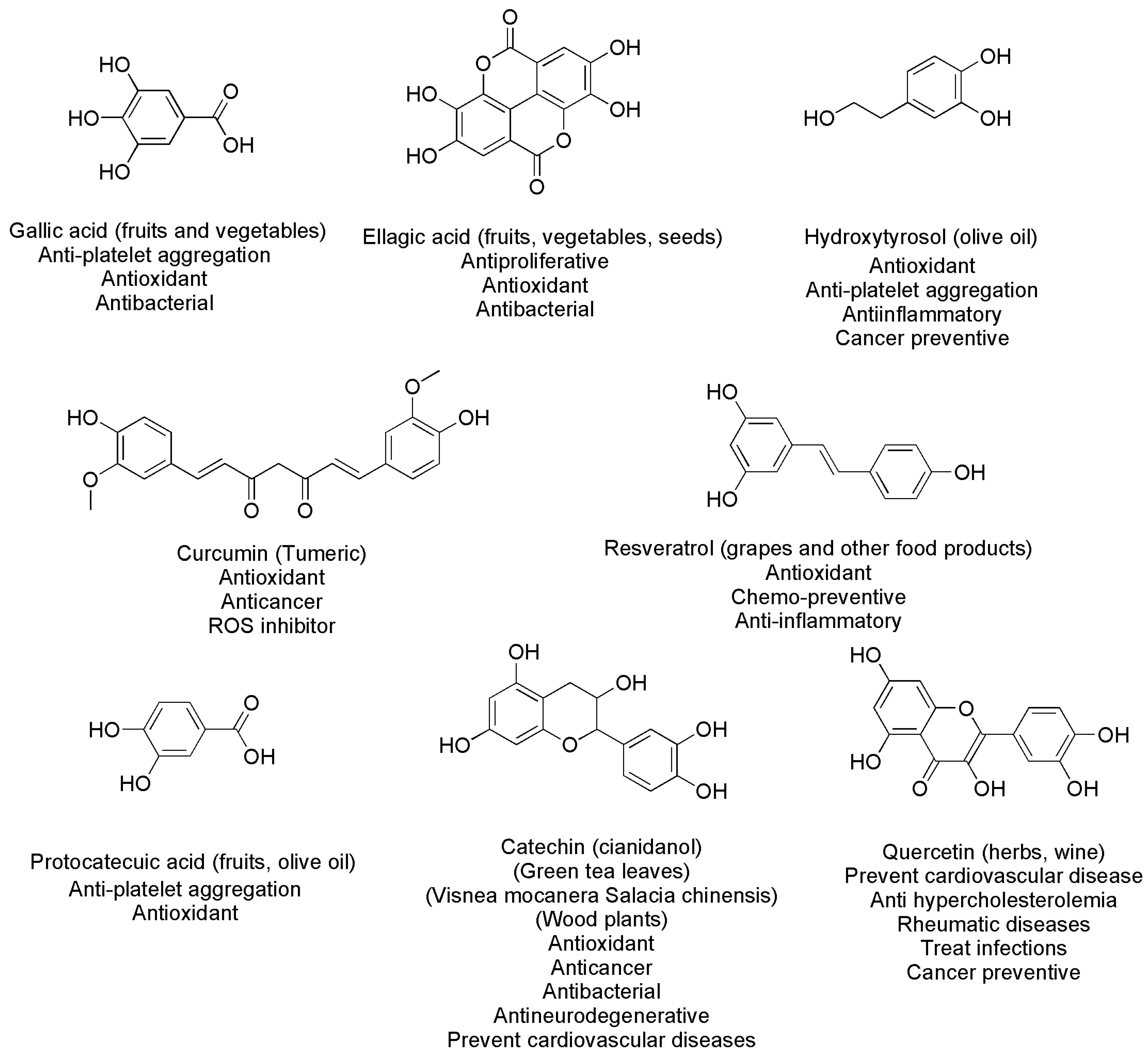 Ijms 24 09824 g003 Ijms 24 09824 g003