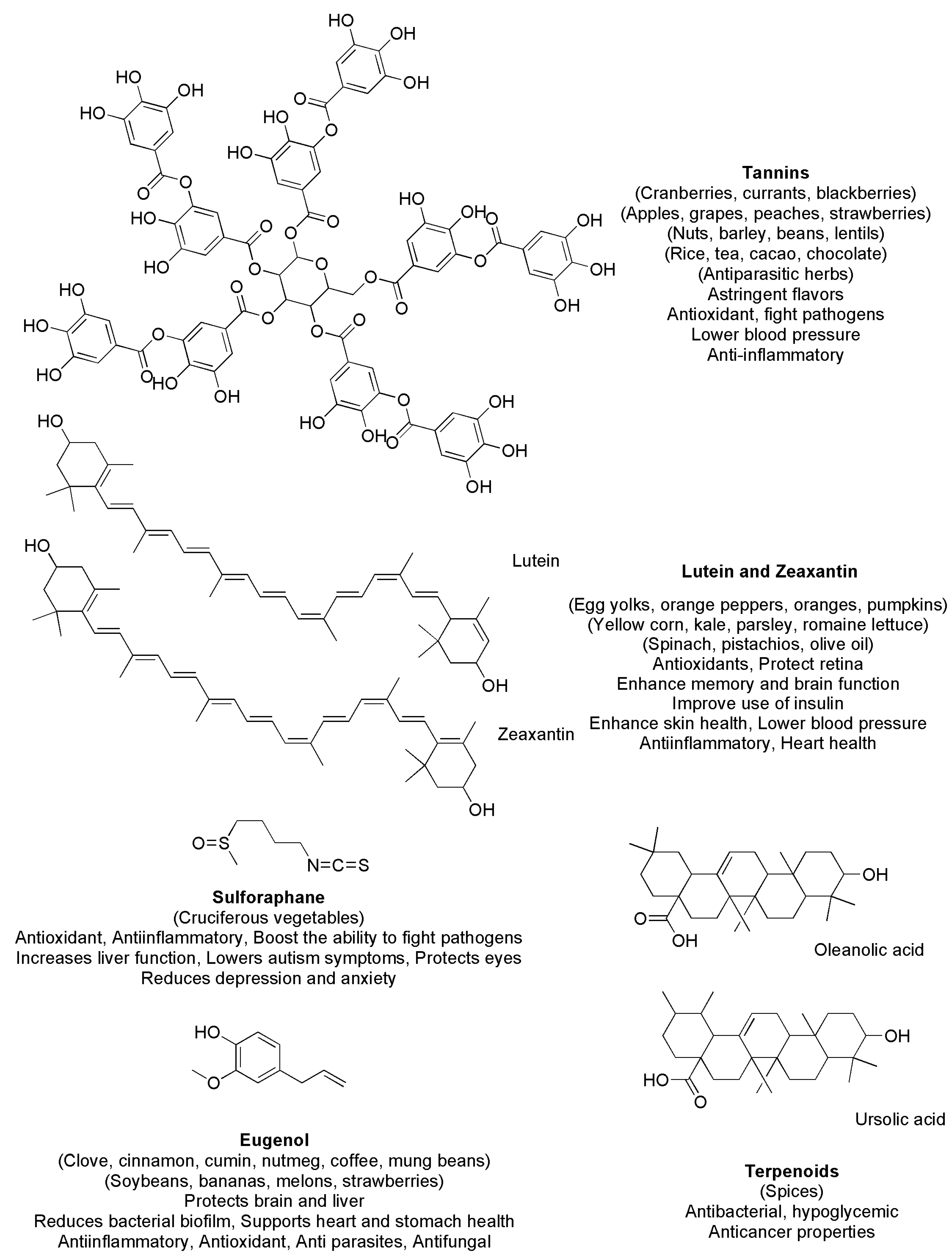 Ijms 24 09824 g004 Ijms 24 09824 g004