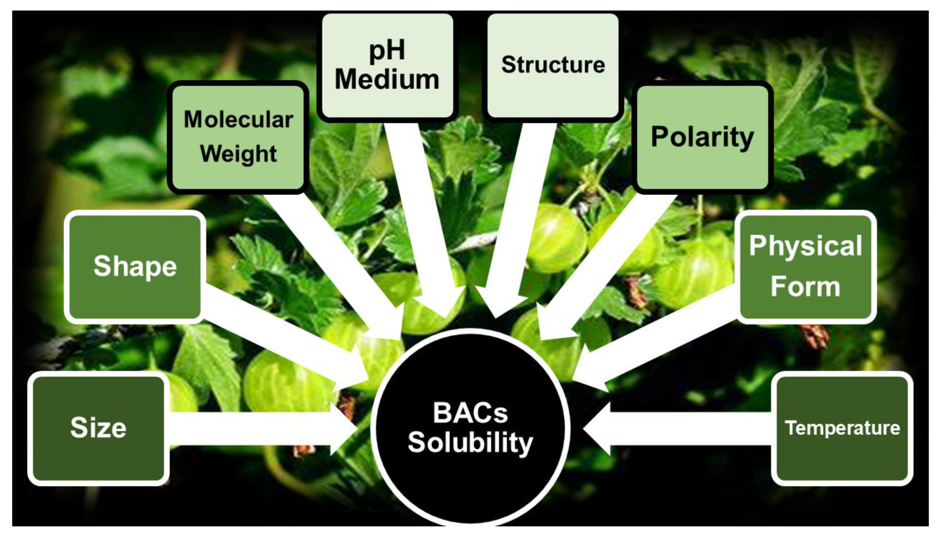 Ijms 24 09824 g005 Ijms 24 09824 g005