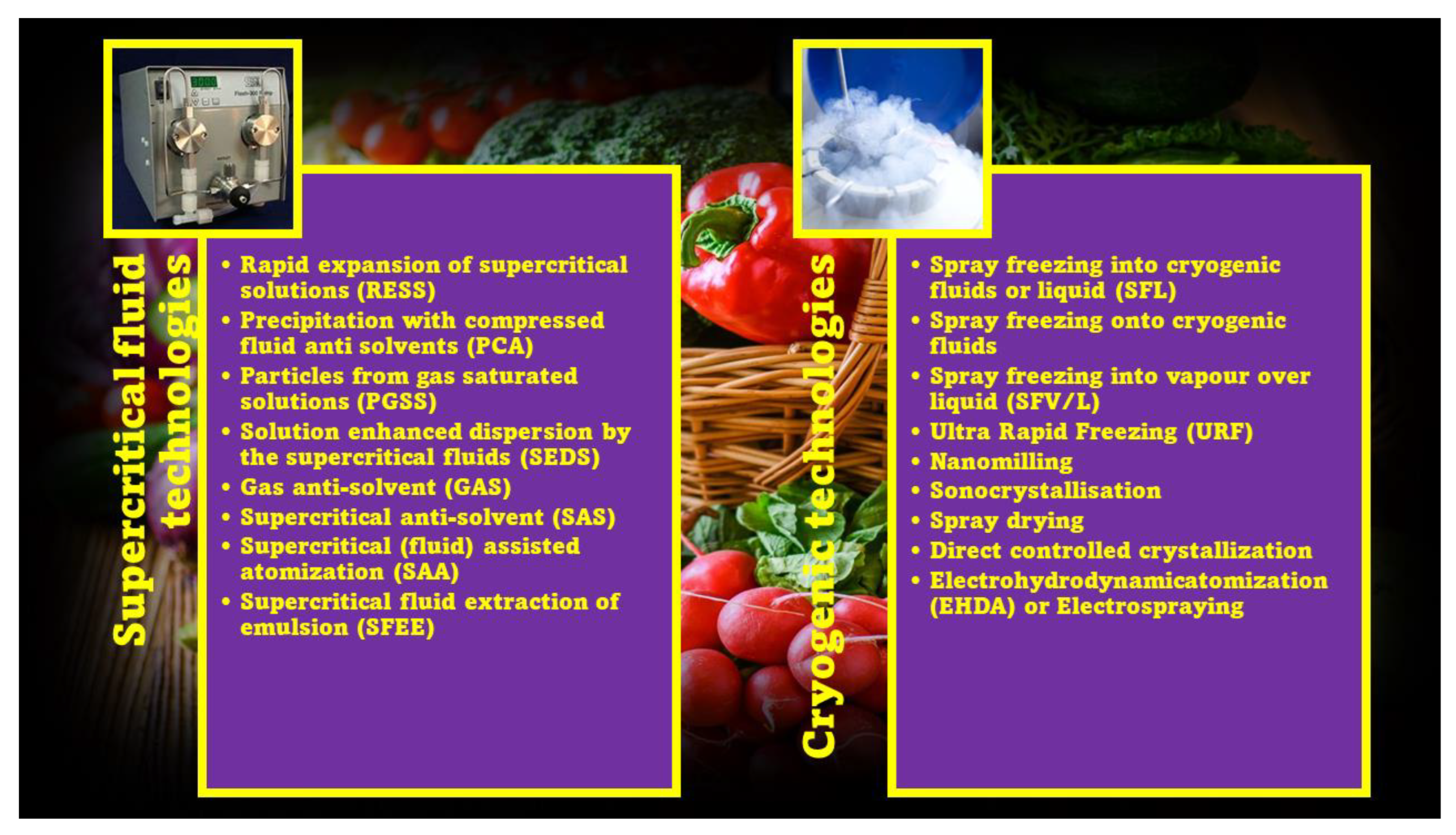 Ijms 24 09824 g006 Ijms 24 09824 g006