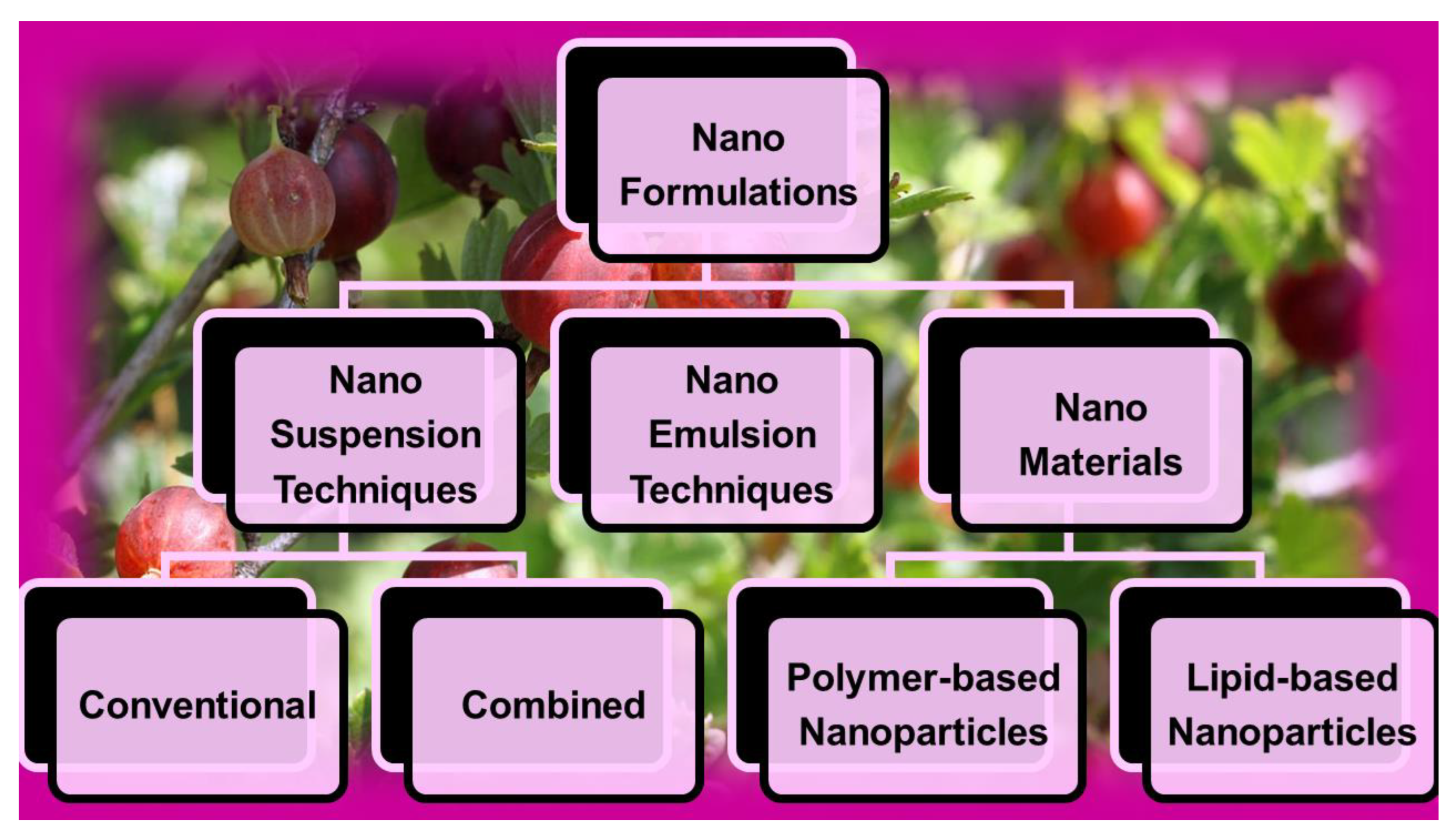 Ijms 24 09824 g007 Ijms 24 09824 g007