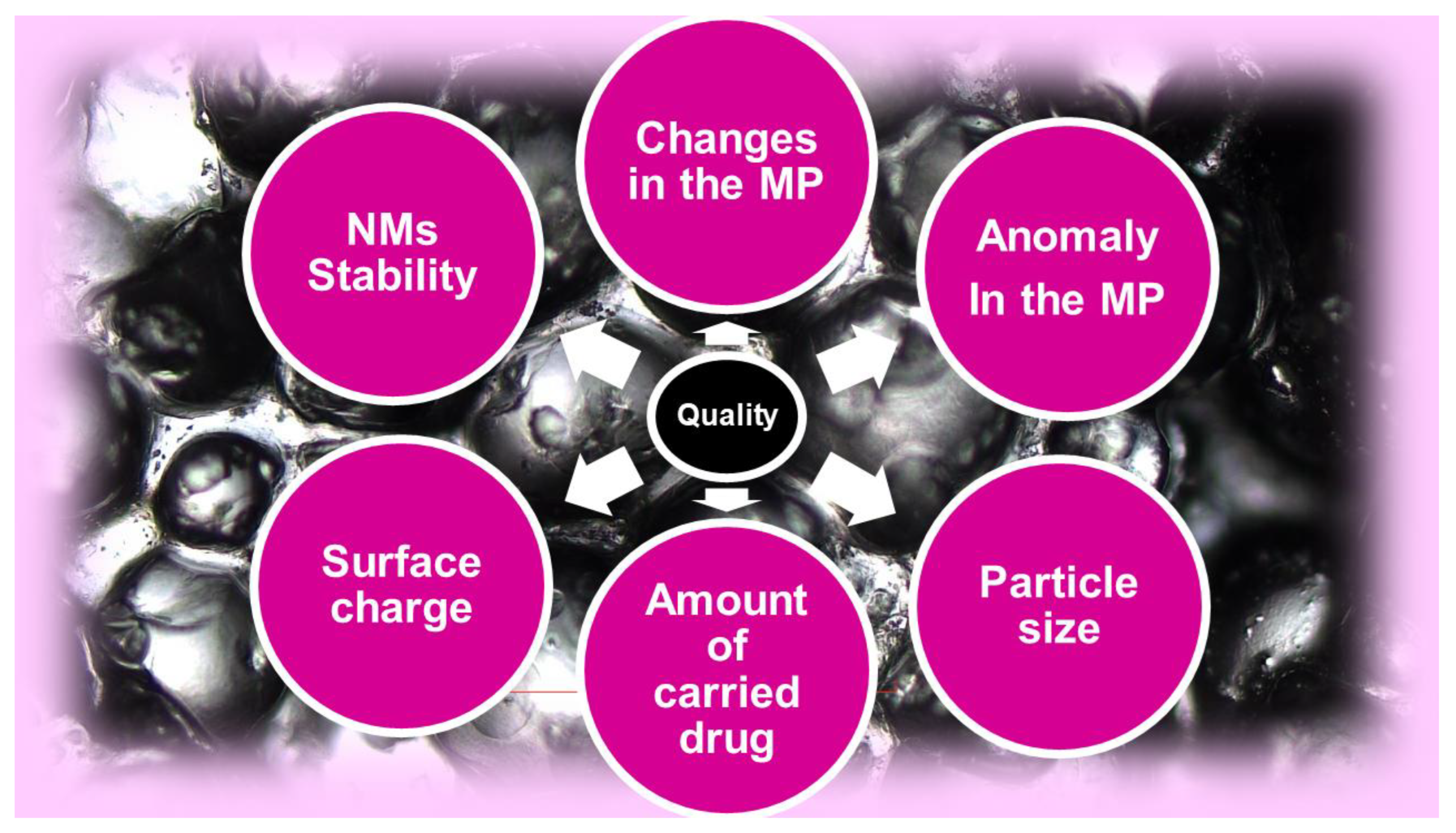 Ijms 24 09824 g014 Ijms 24 09824 g014