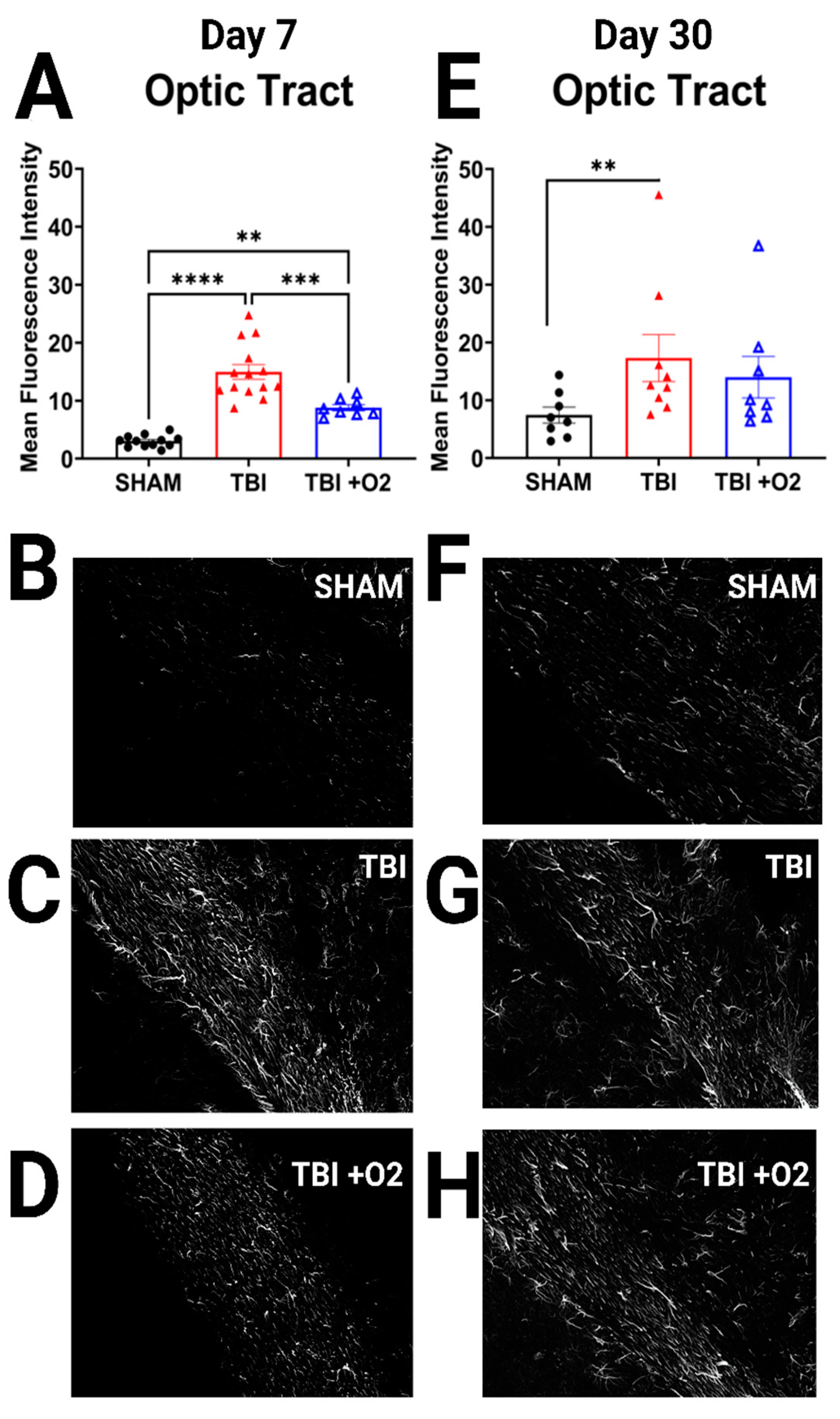 Ijms 24 09831 g005 Ijms 24 09831 g005