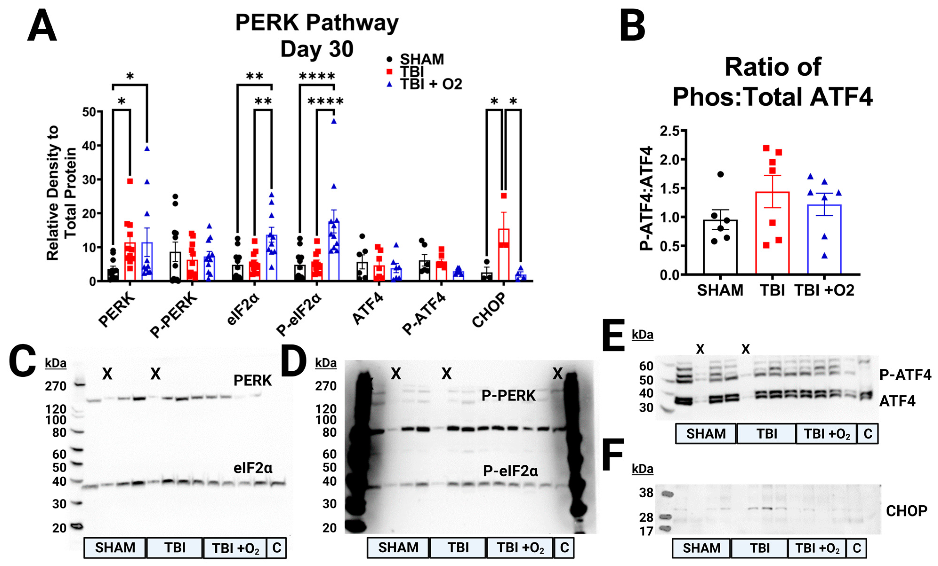 Ijms 24 09831 g008 Ijms 24 09831 g008
