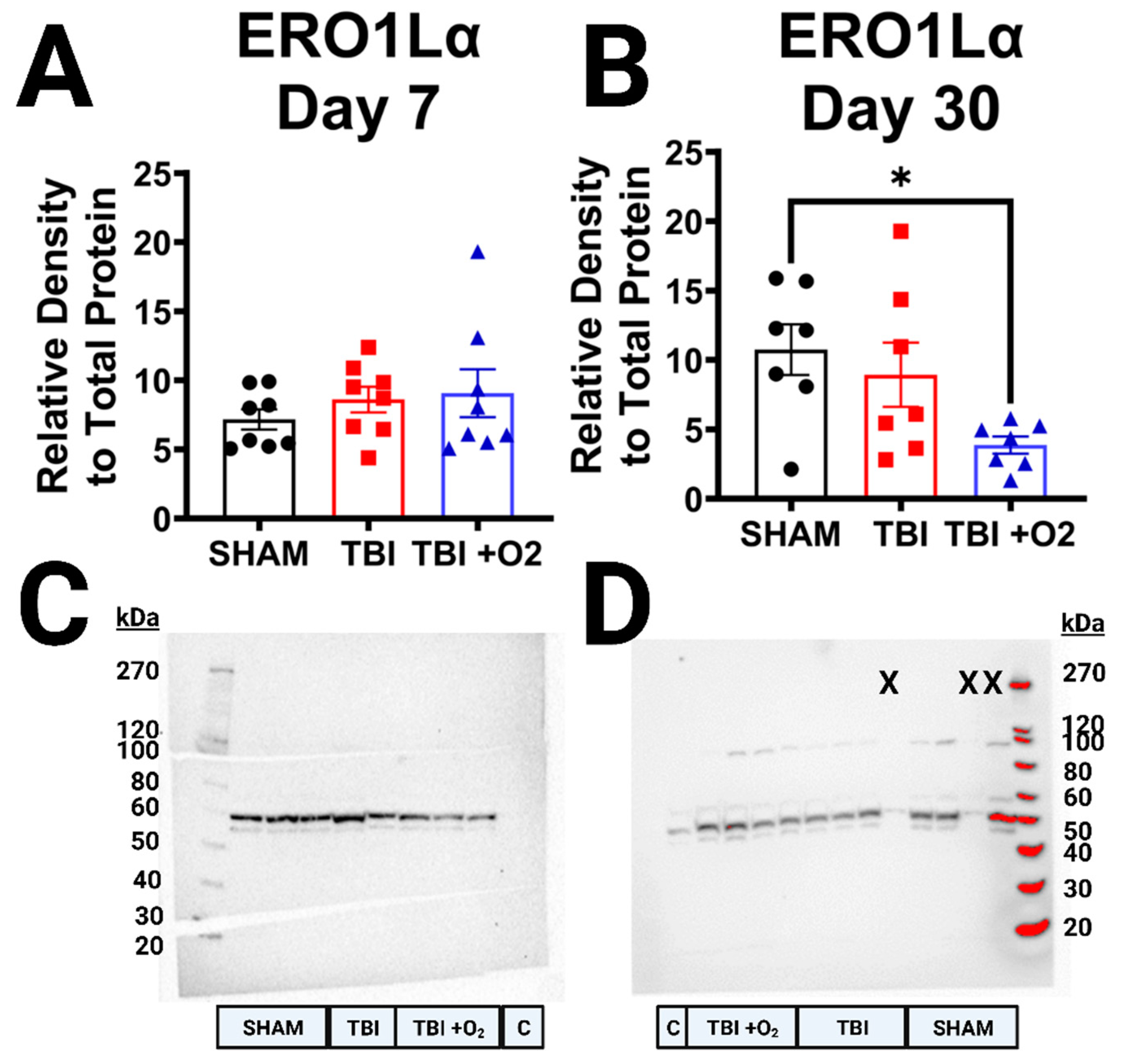 Ijms 24 09831 g009 Ijms 24 09831 g009