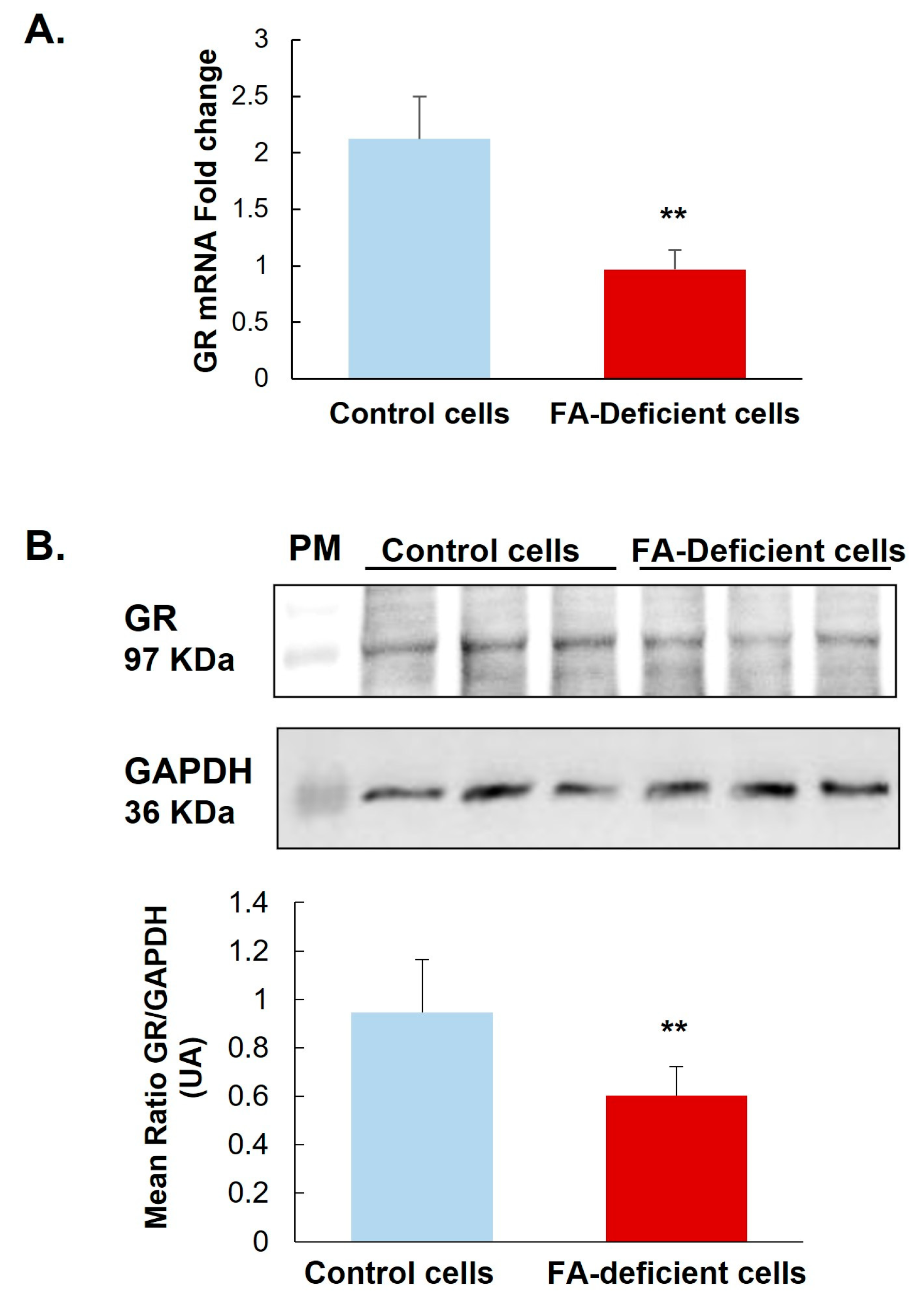 Ijms 24 09847 g001 Ijms 24 09847 g001