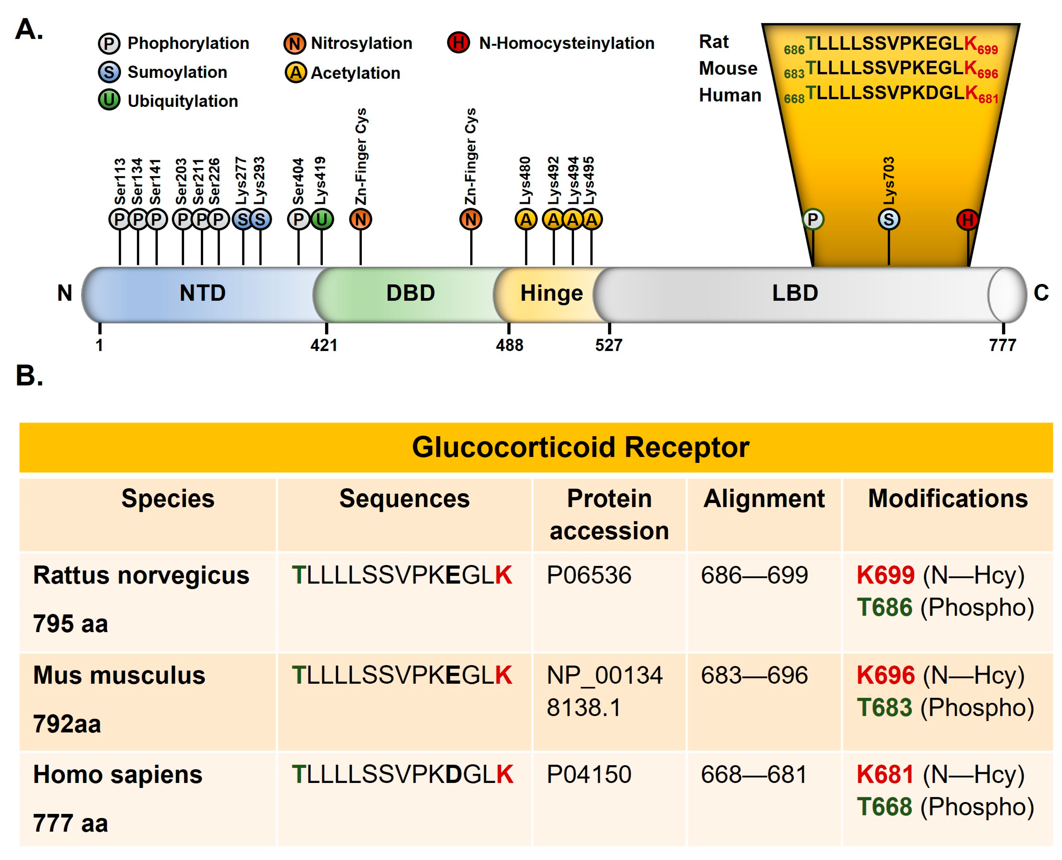 Ijms 24 09847 g003 Ijms 24 09847 g003