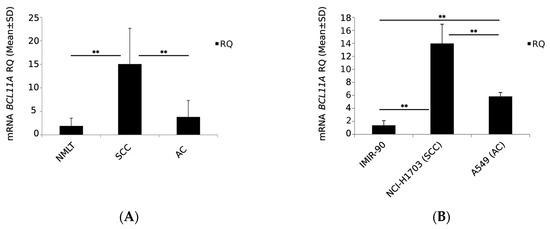 BCL11A Expression in Non-Small Cell Lung Cancers