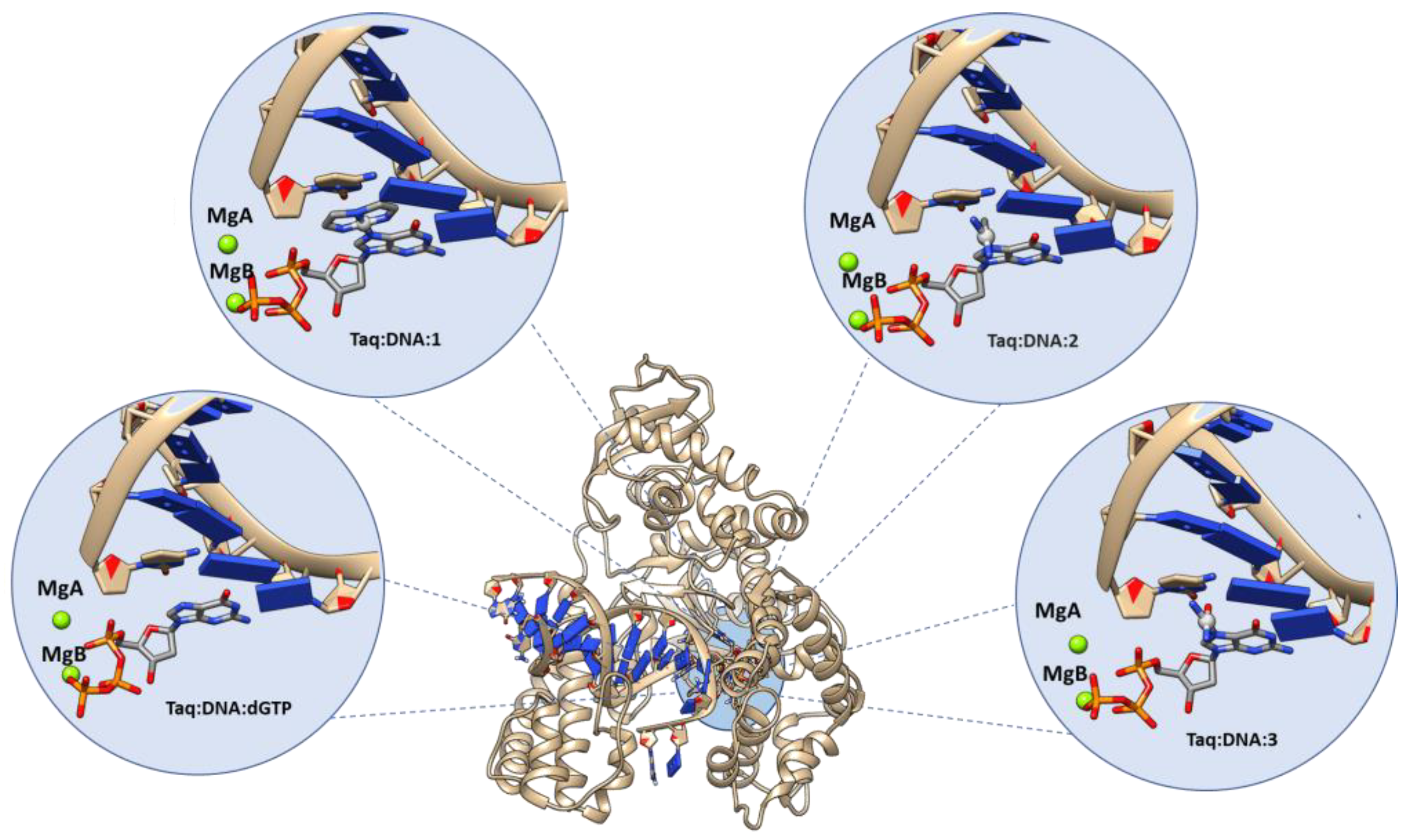 Ijms 24 09849 g002 Ijms 24 09849 g002
