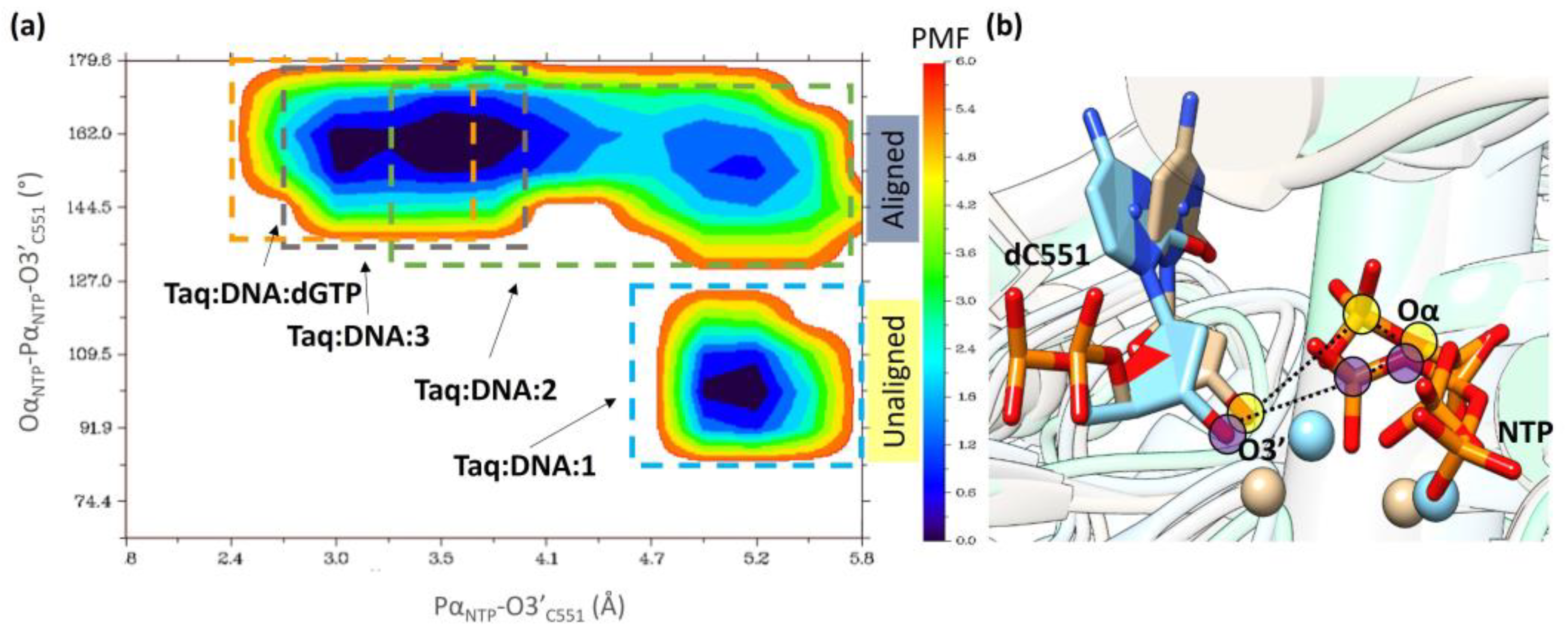 Ijms 24 09849 g008 Ijms 24 09849 g008