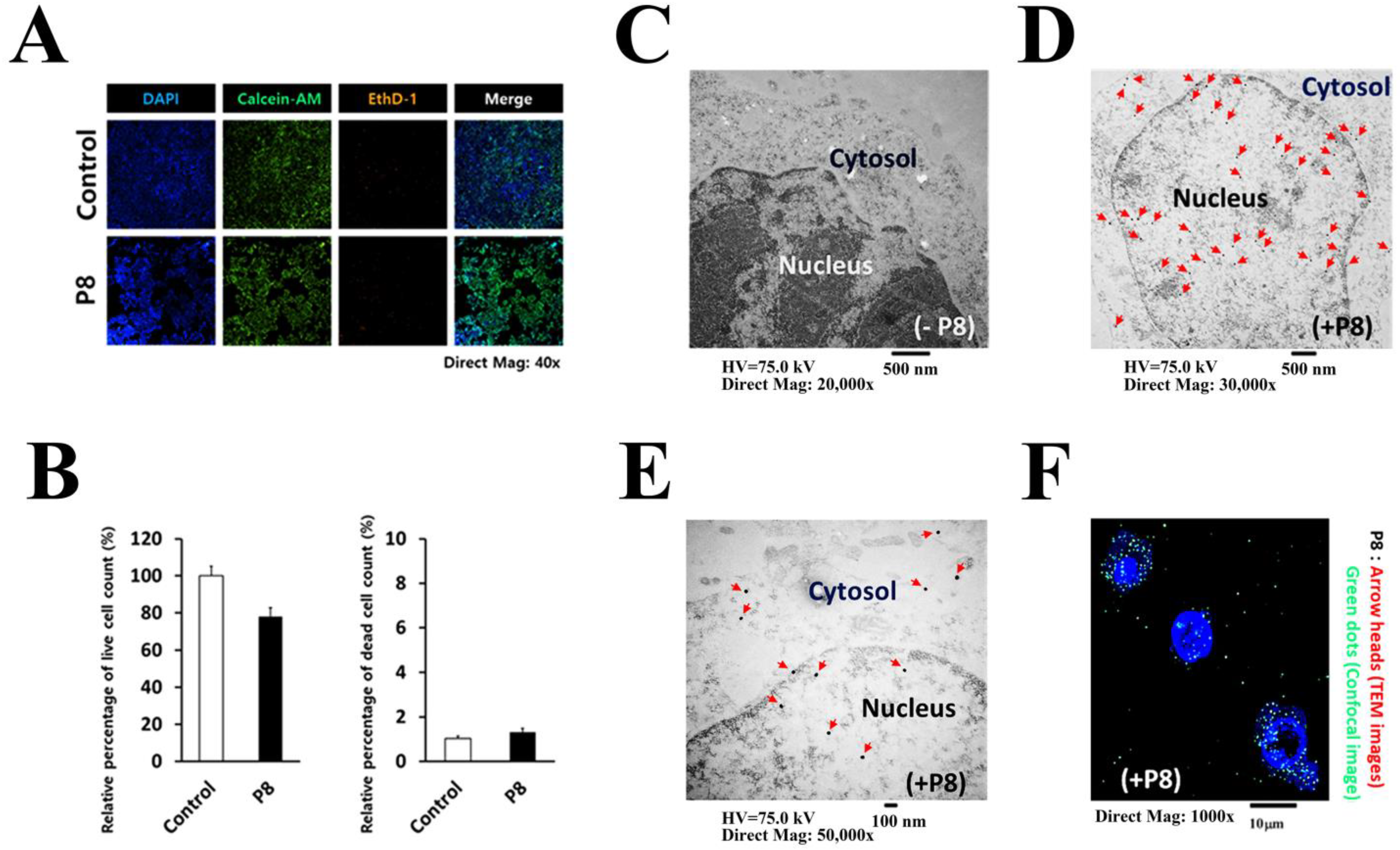 Ijms 24 09857 g001 Ijms 24 09857 g001